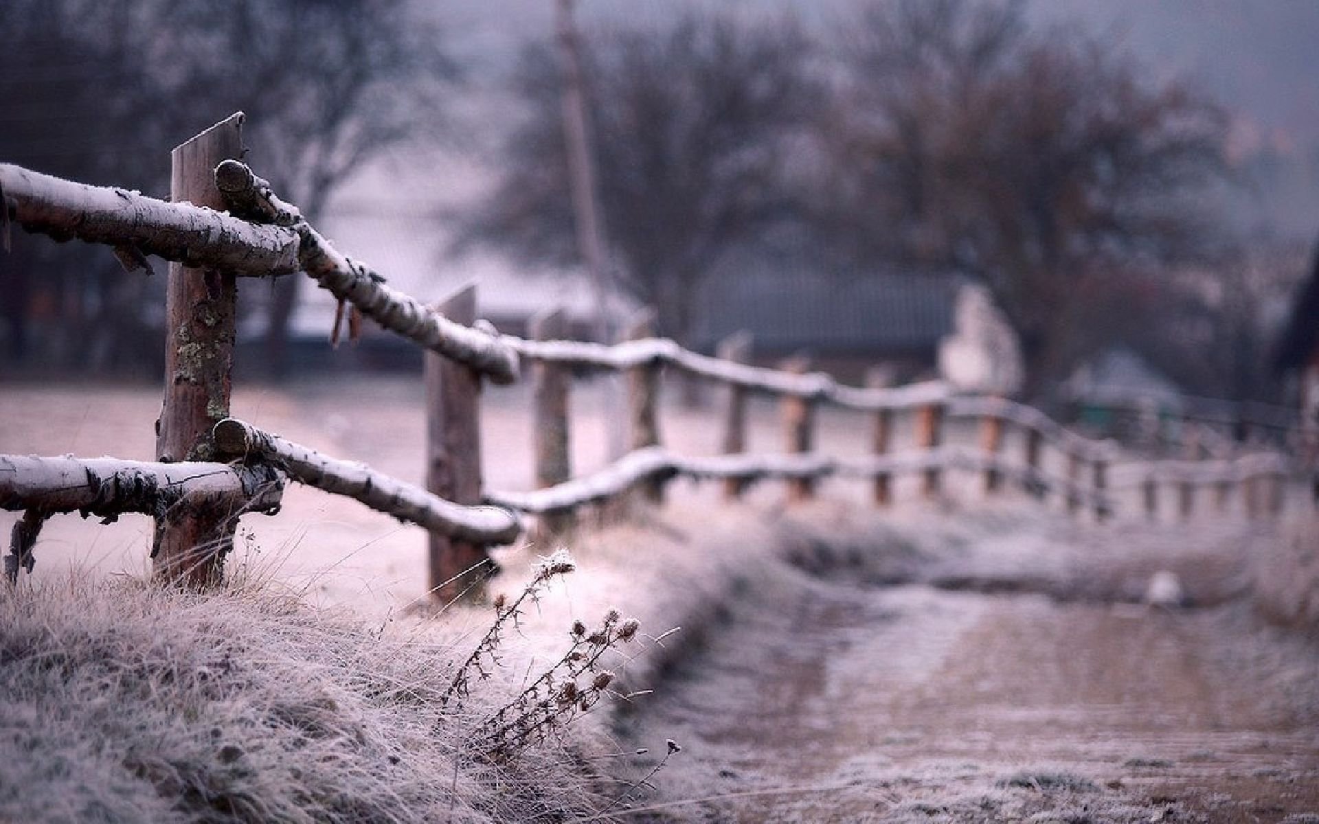风景