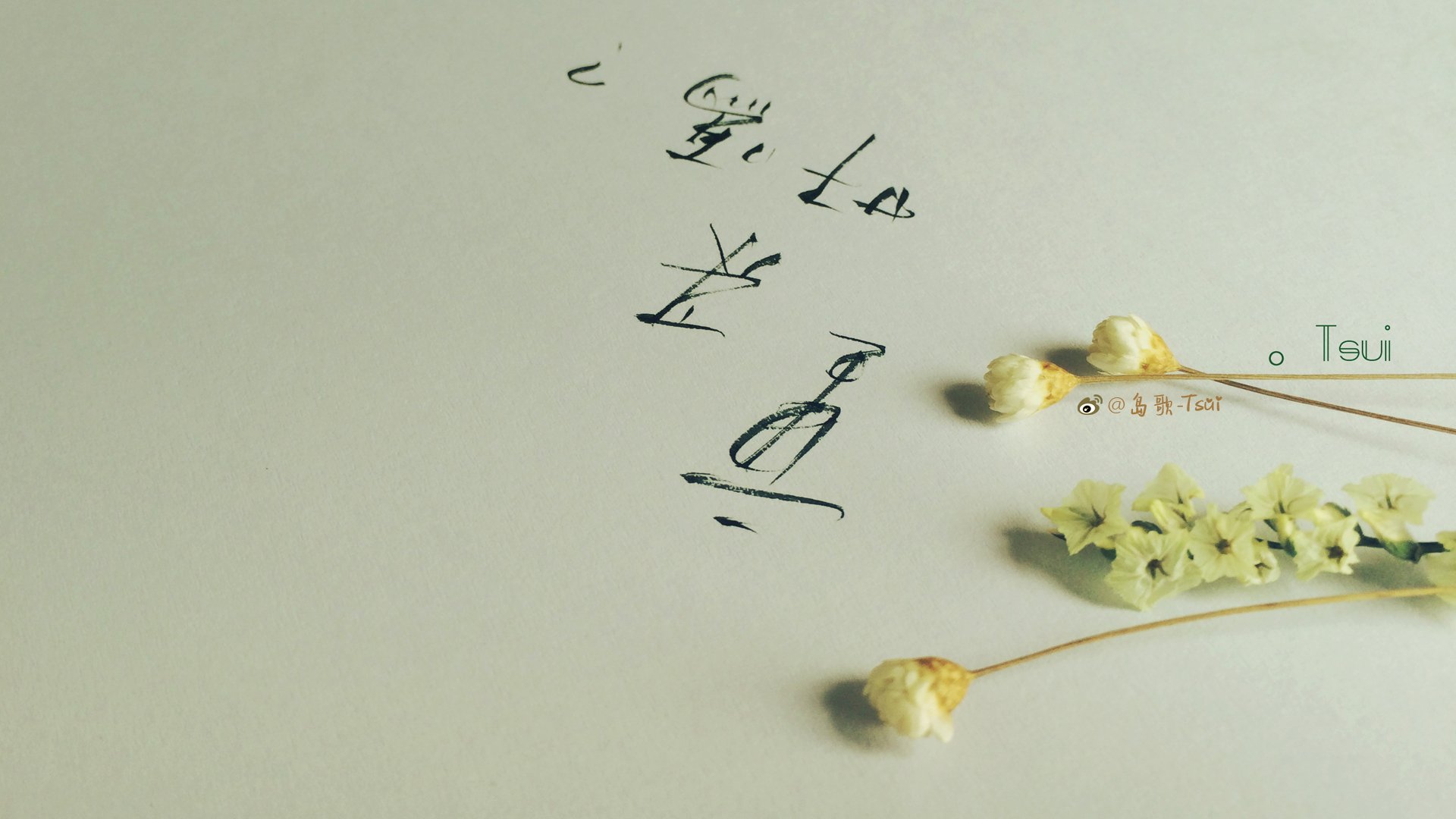 岛歌 手写 伤感 文字 爱情箴言