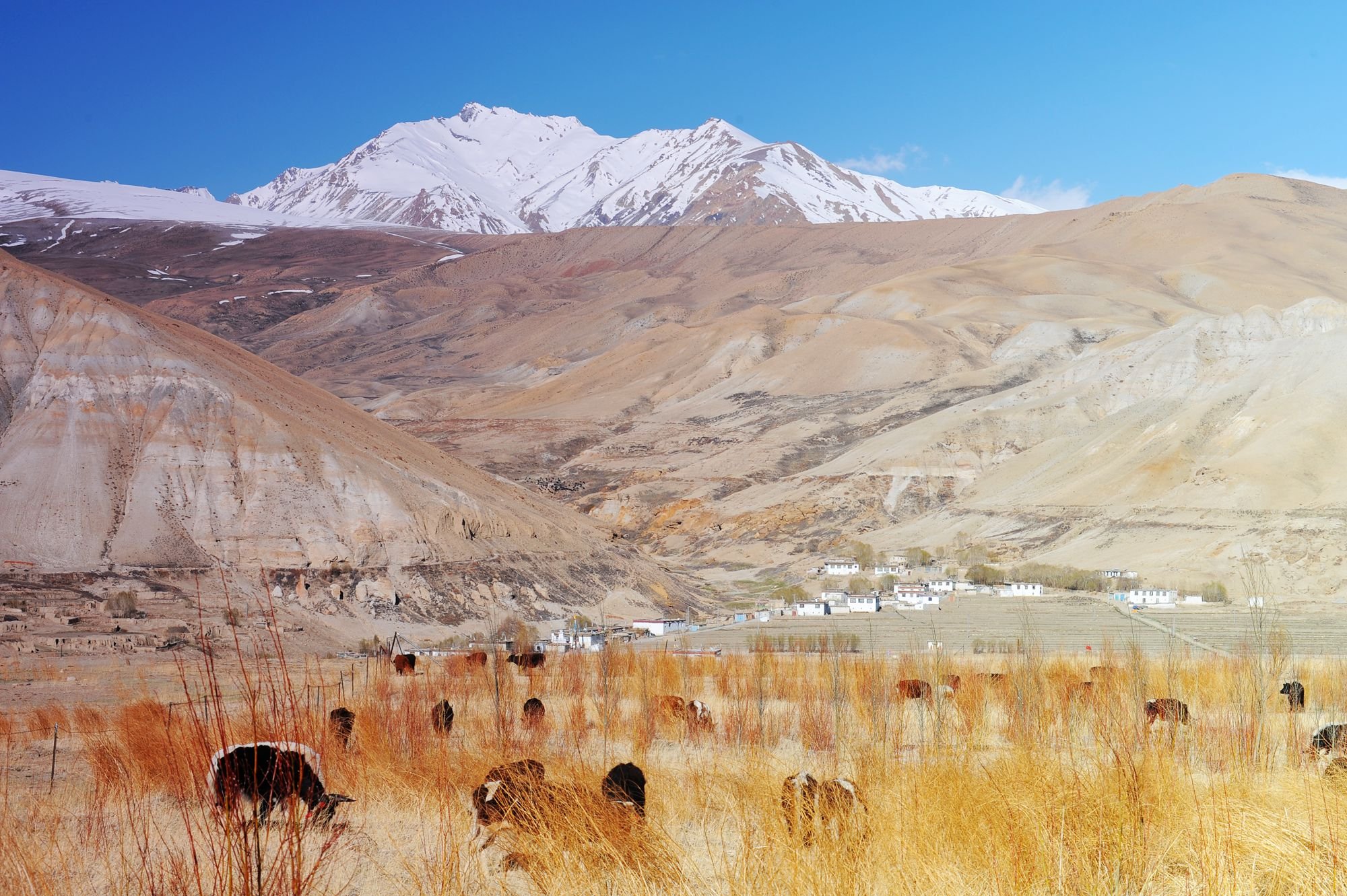 摄影 风景 私人地理 普兰