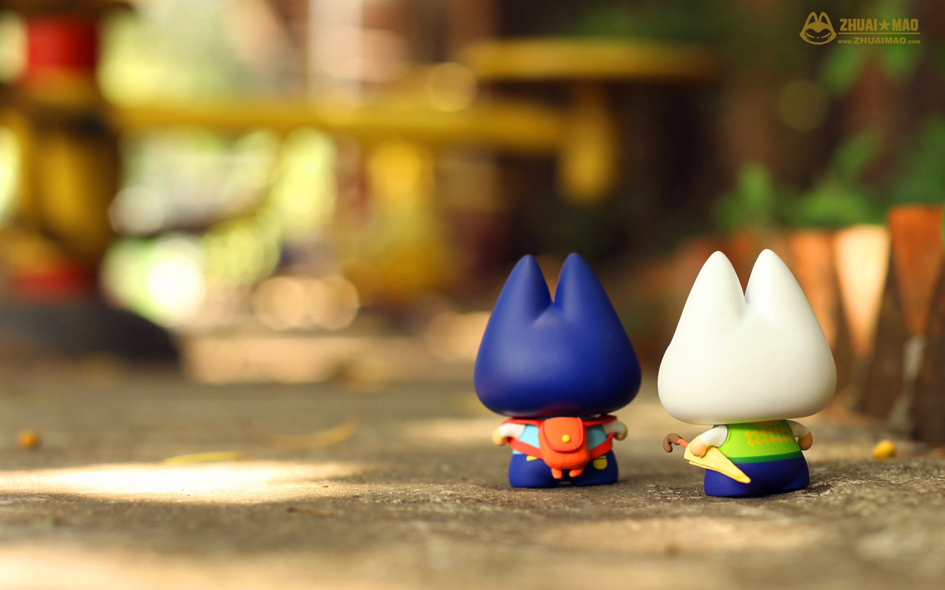 拽猫 父亲节 摄影 小清新 静物 写真