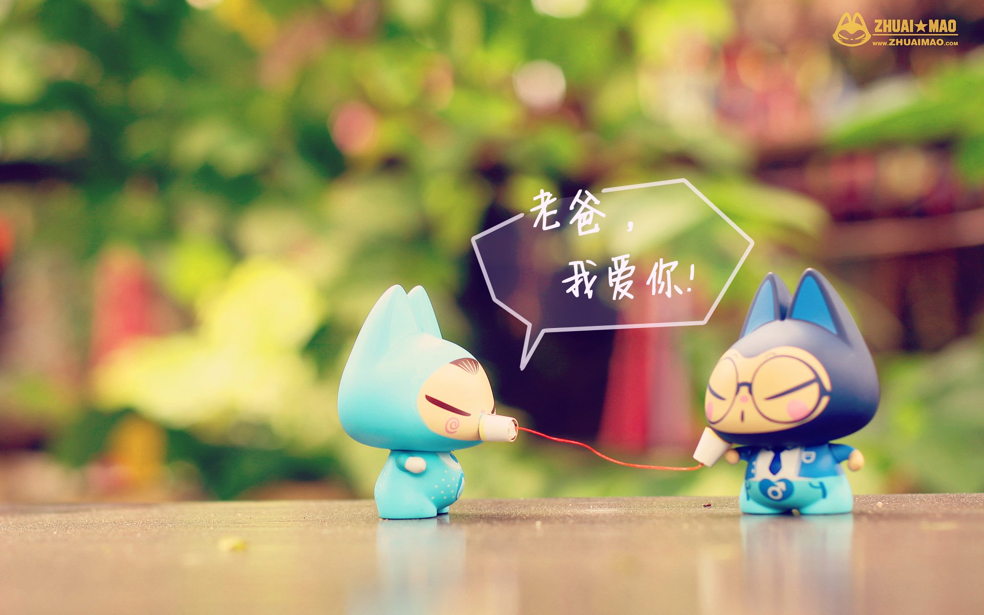 拽猫 父亲节 摄影 小清新 静物 写真