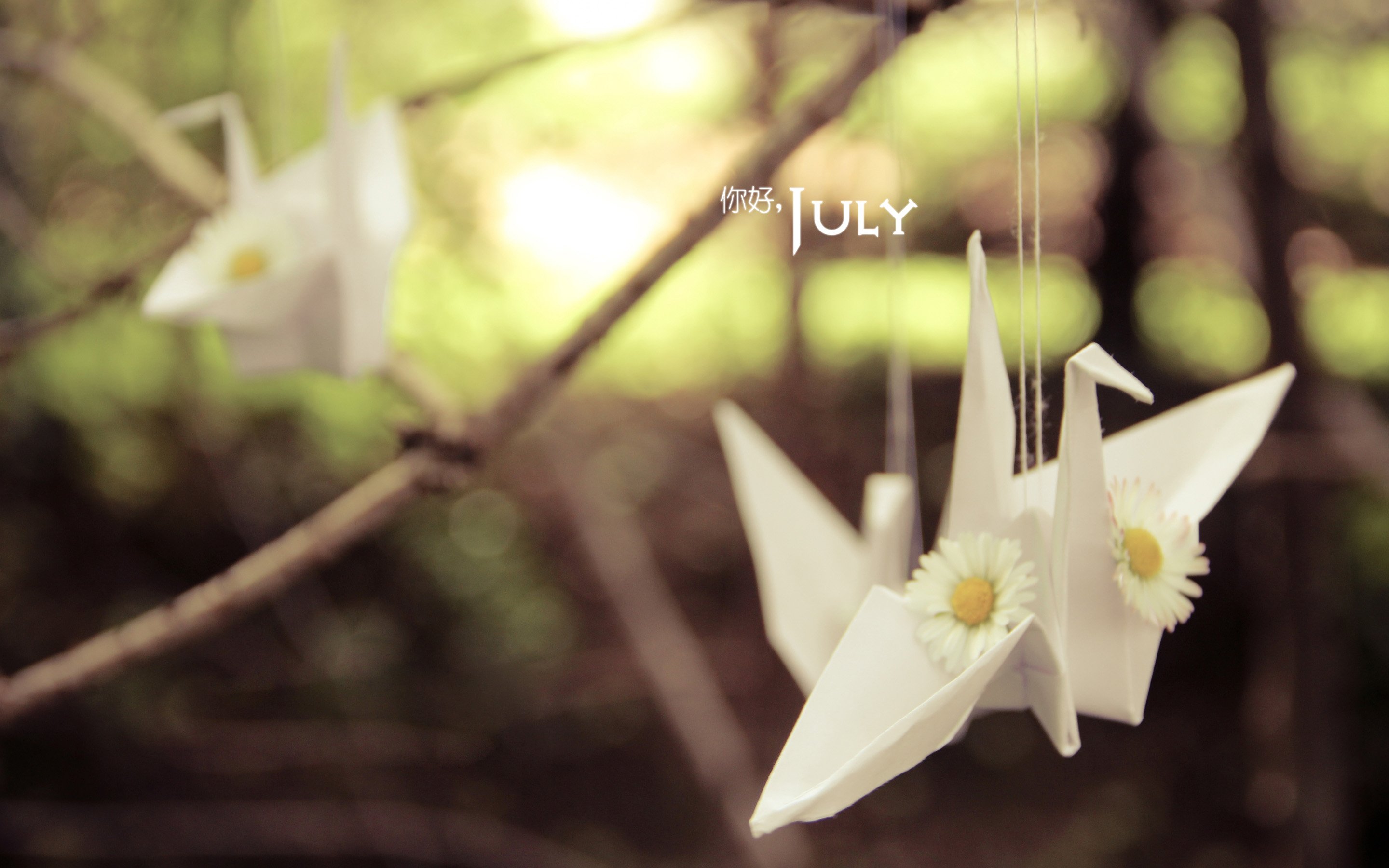 小清新 温暖 安静 七月 你好