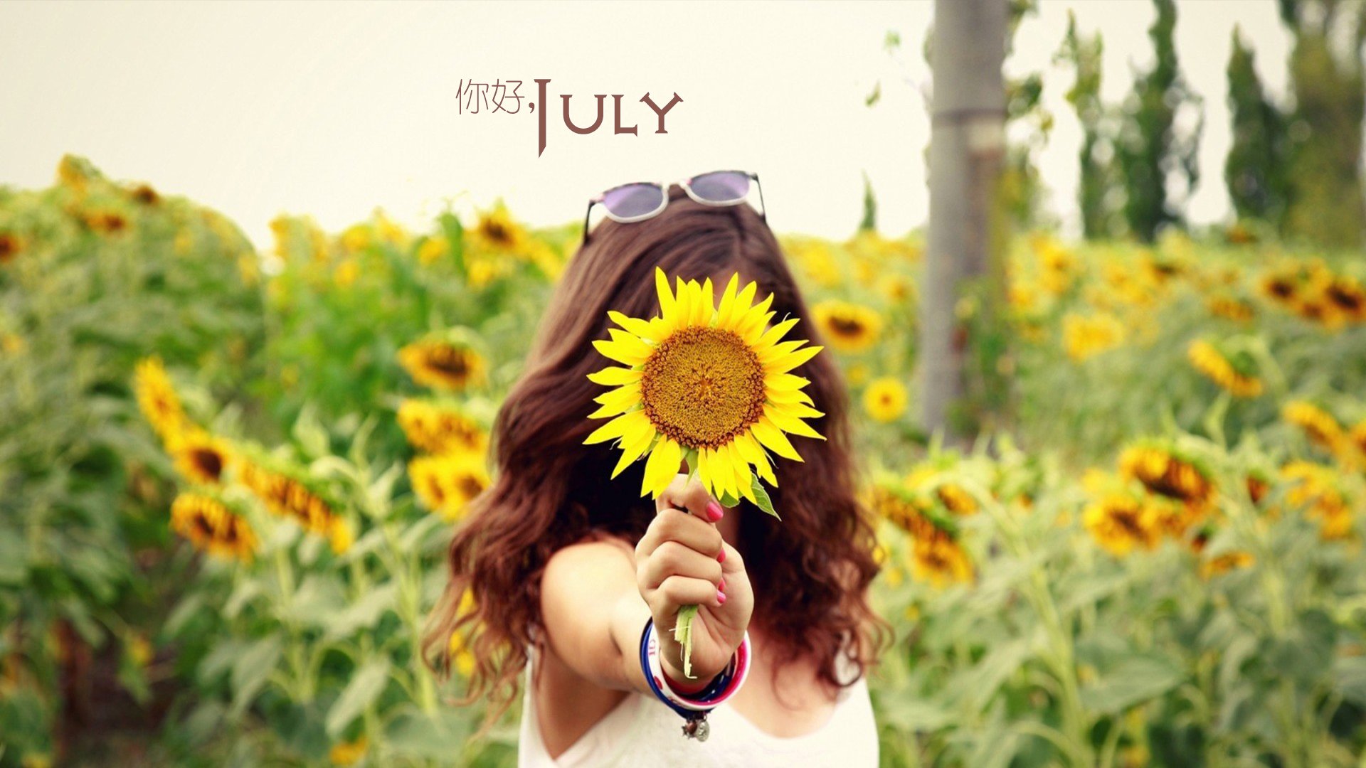 小清新 温暖 安静 七月 你好