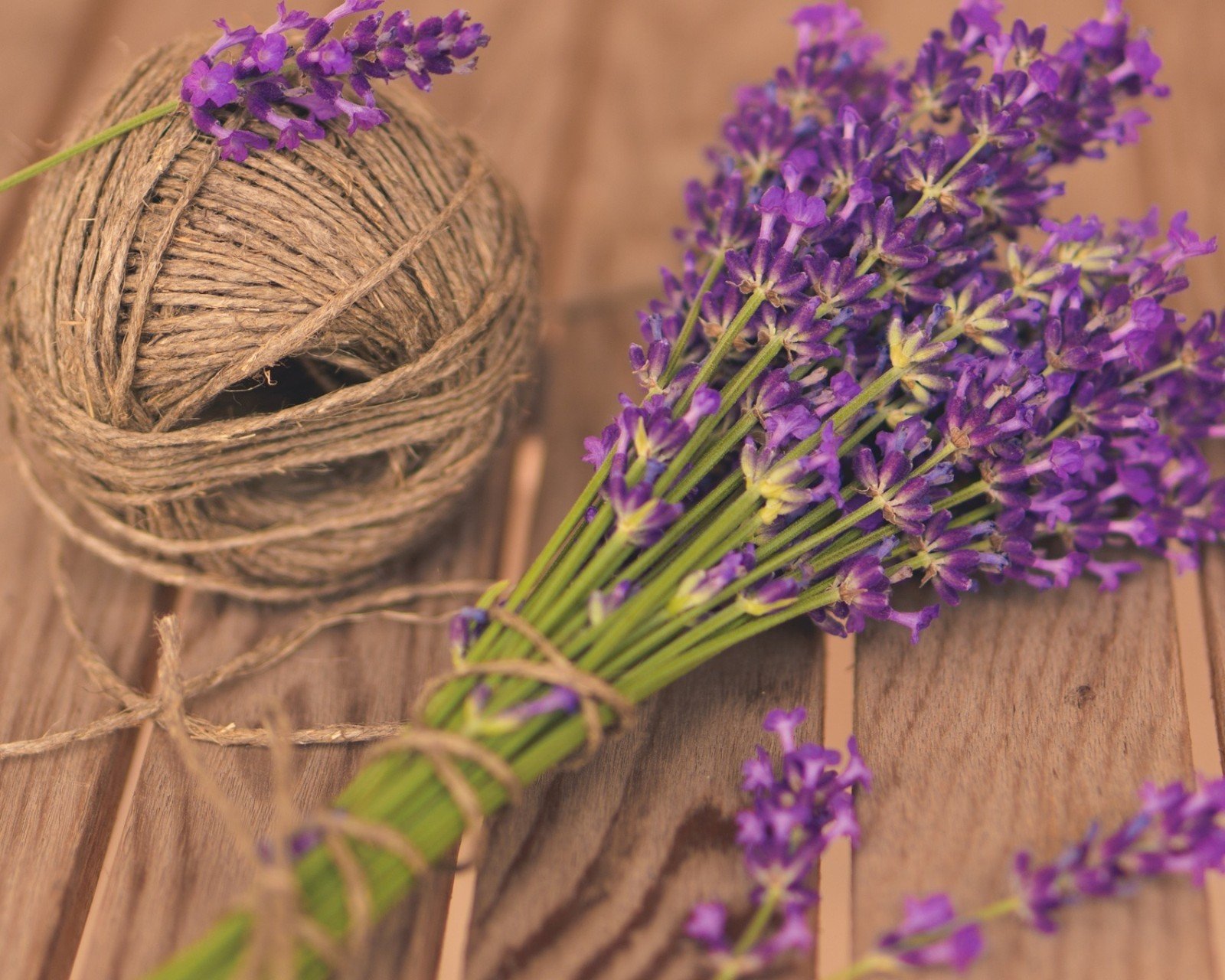 小清新 唯美 薰衣草 风景 植物 等待爱情 紫色