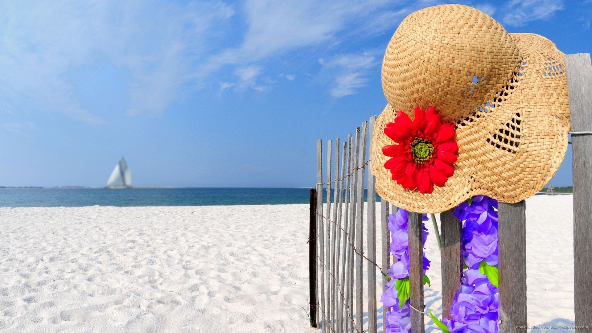 小清新 唯美 旅行 假日 夏天 炎热 度假