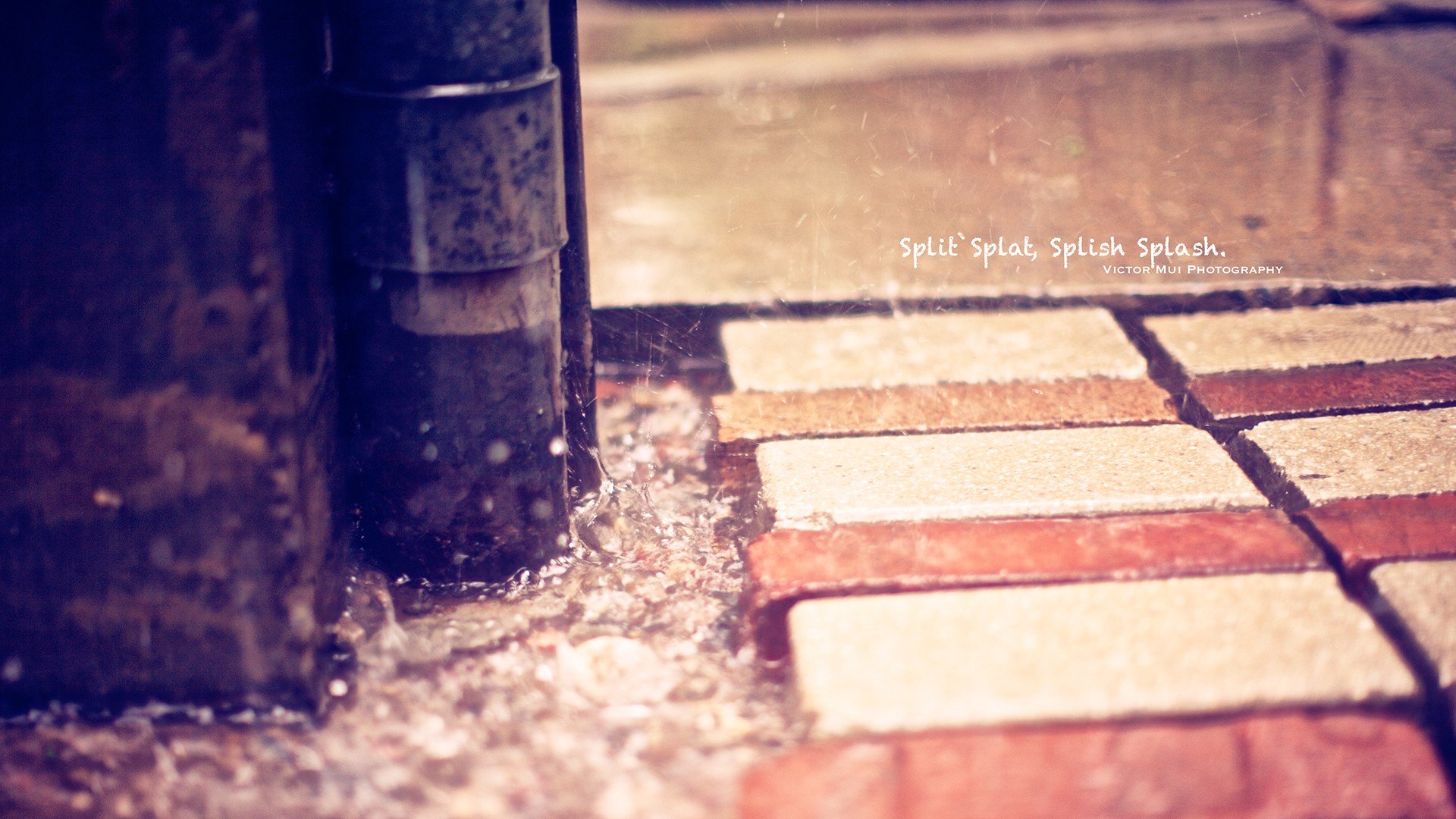 小清新 唯美 温馨 安静