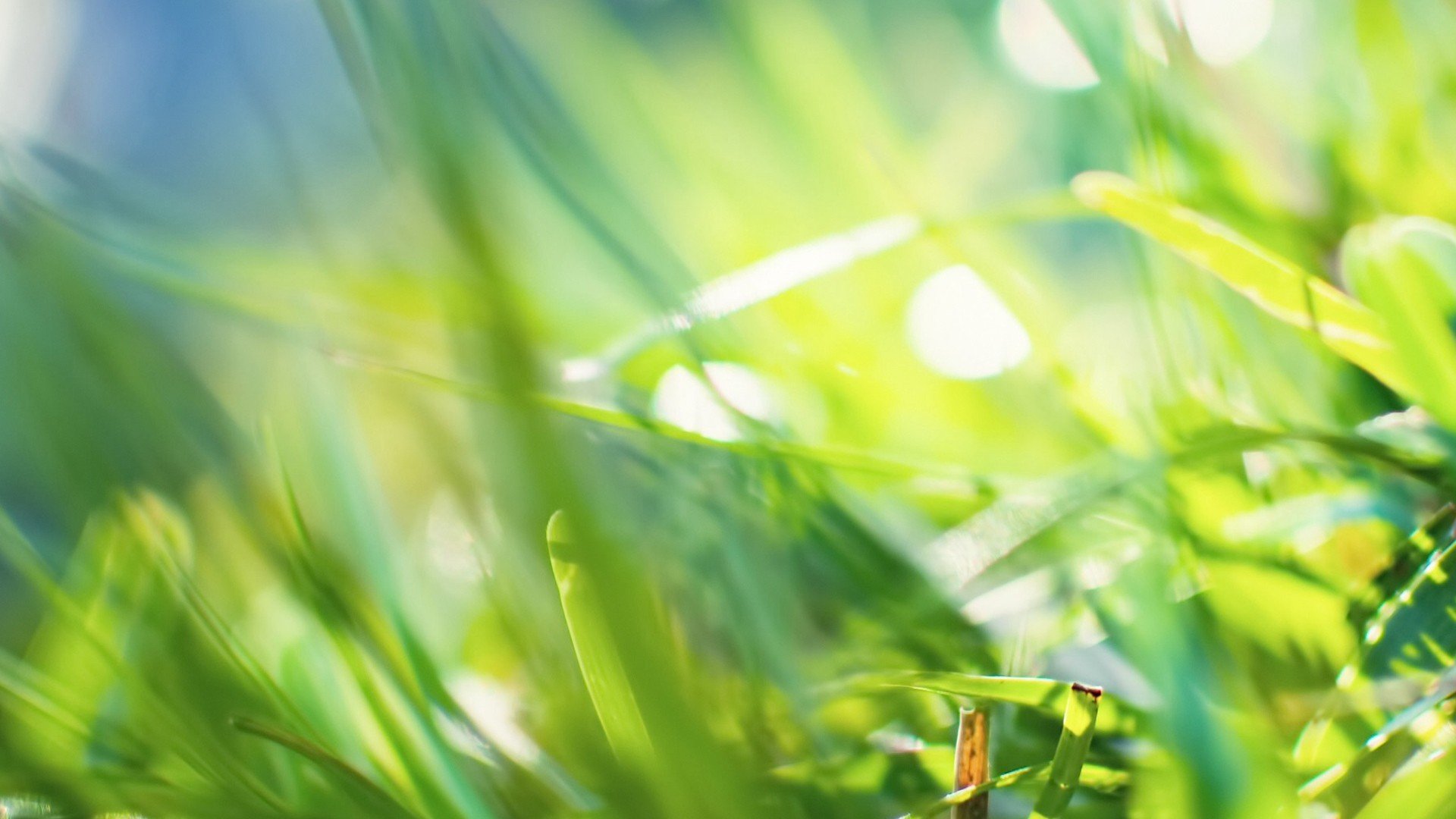 小清新 唯美 温馨 安静 绿色养眼