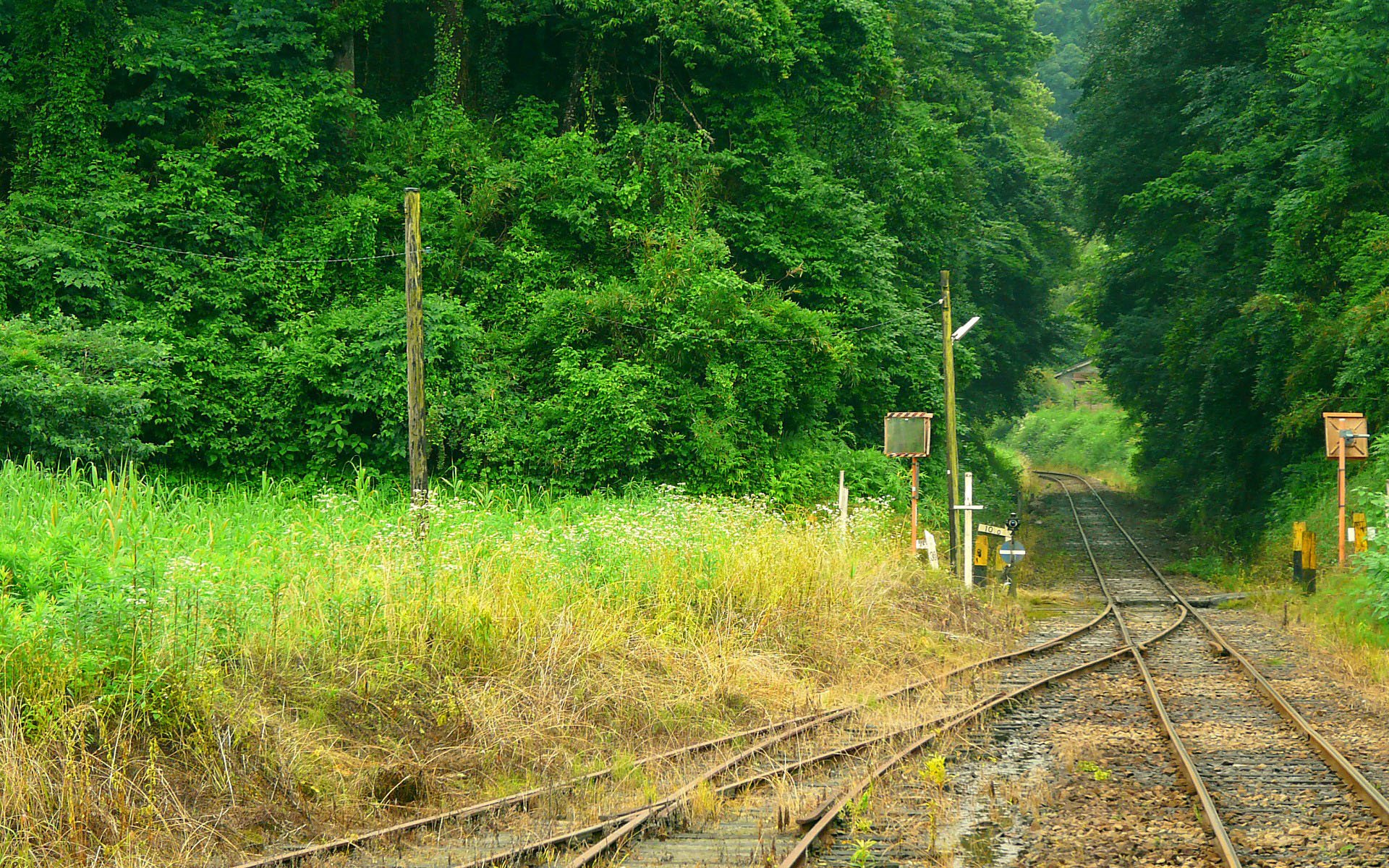 小清新 唯美 温馨 安静 绿色养眼 植物