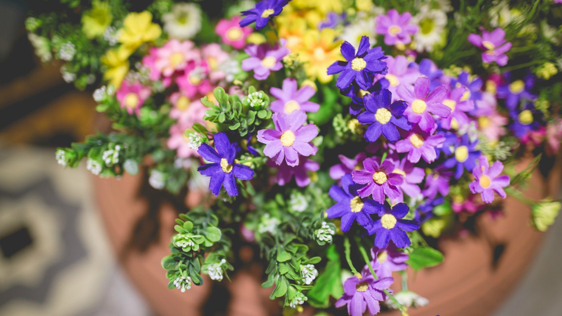 小清新 唯美 静物写真 温馨 物语 回忆 墙