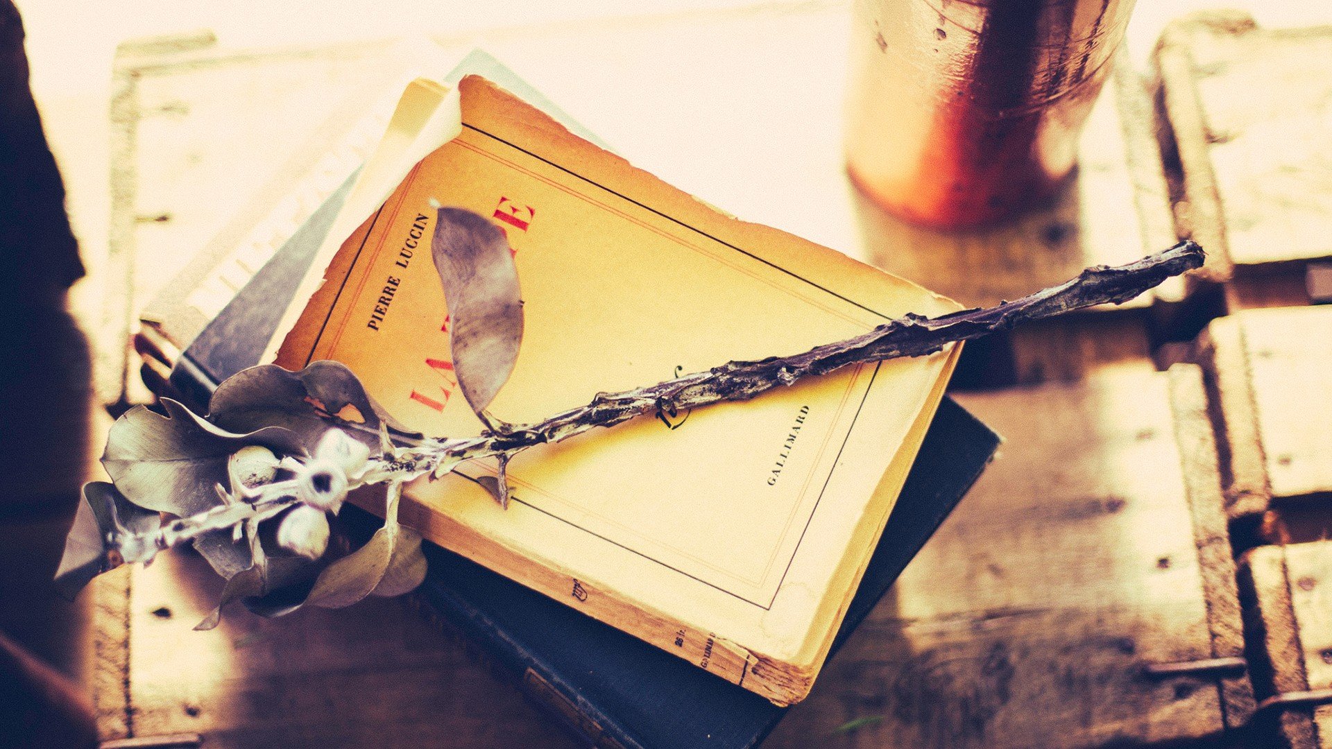 小清新 唯美 静物写真 温馨 物语 回忆 花