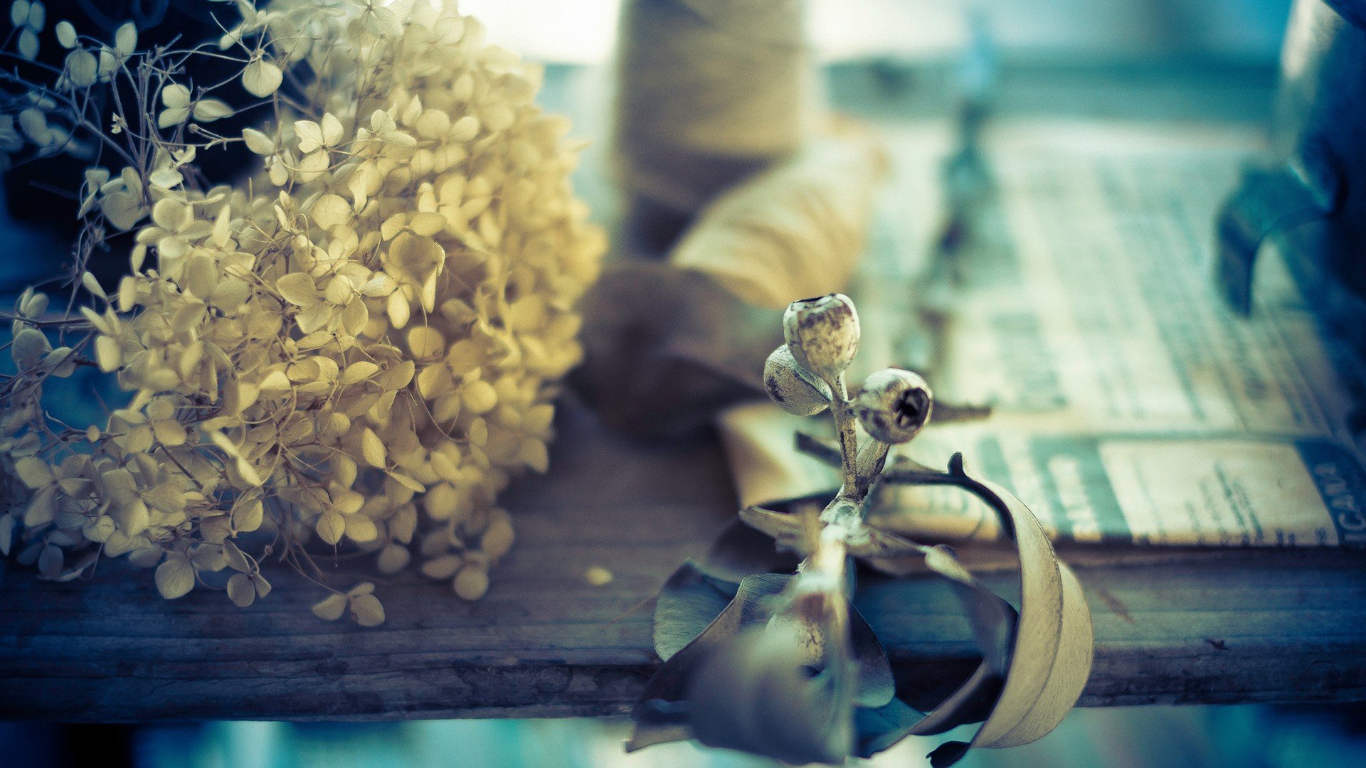 小清新 唯美 静物写真 温馨 物语 回忆 熊