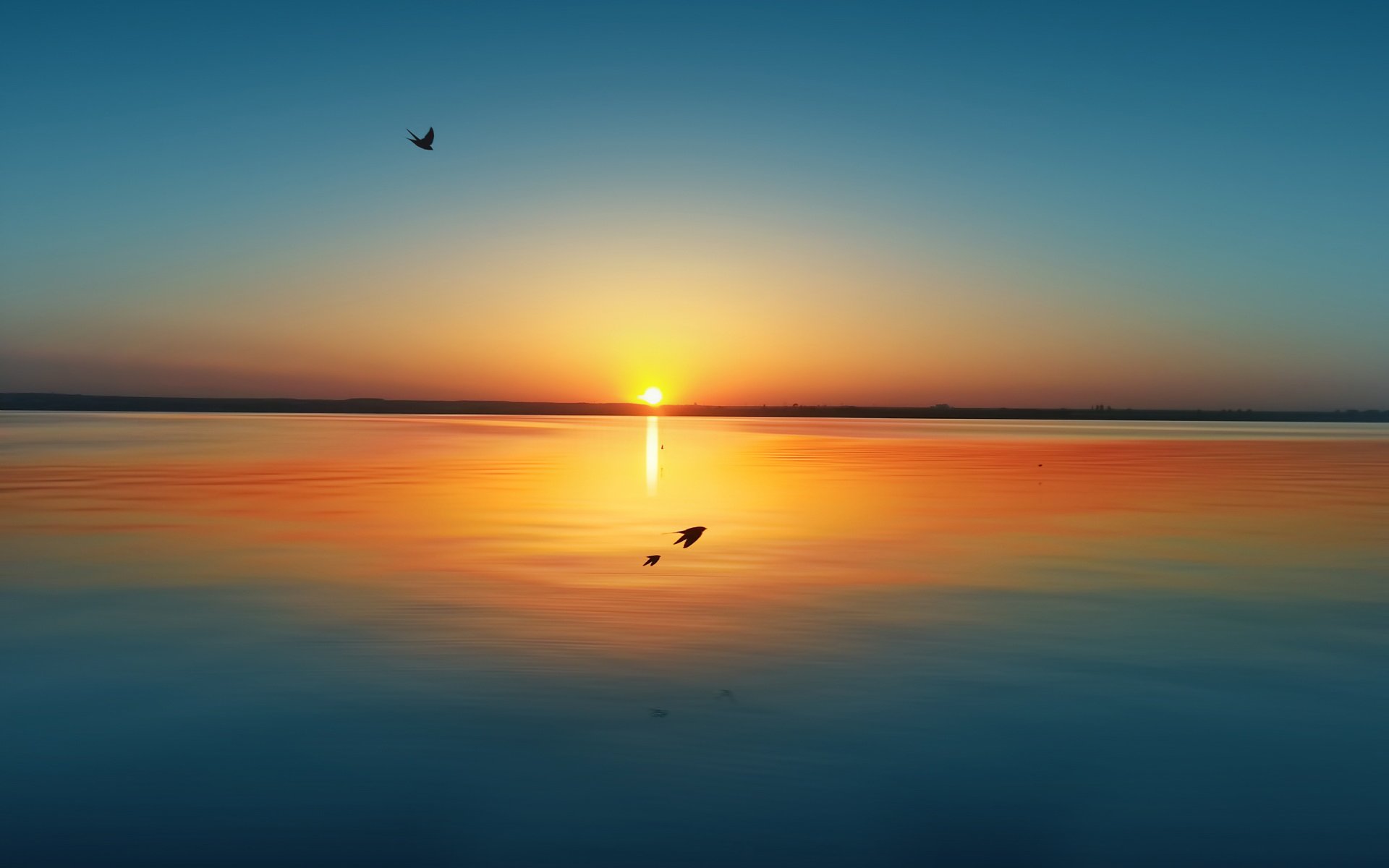 风景 夕阳 海面平静