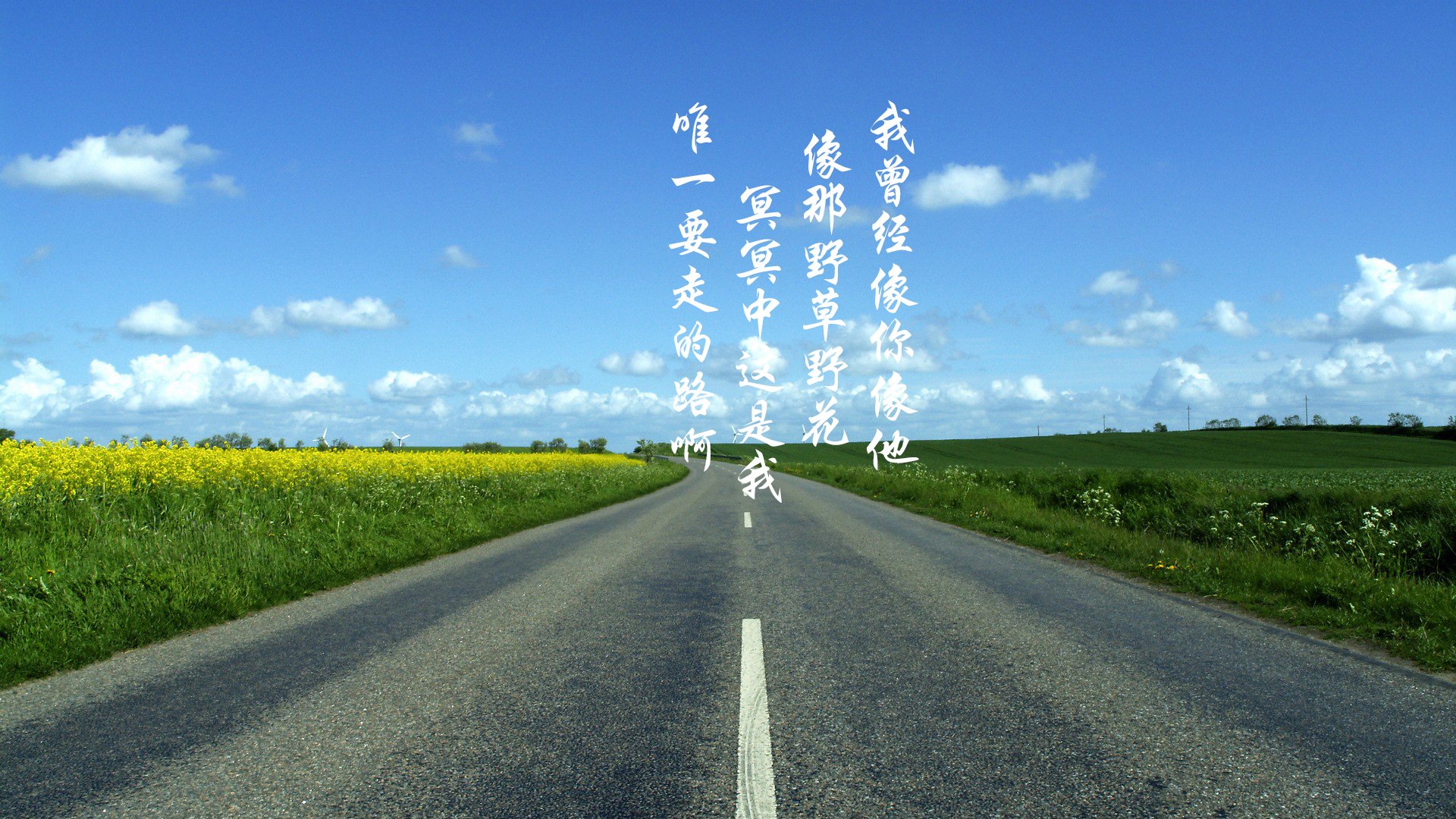 文字控  平凡之路 励志 奋斗 正能量 朴树 韩寒 后会无期 路 文字