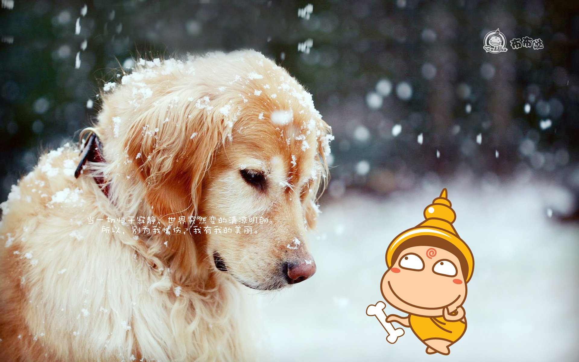 布布哒 搞笑 可爱