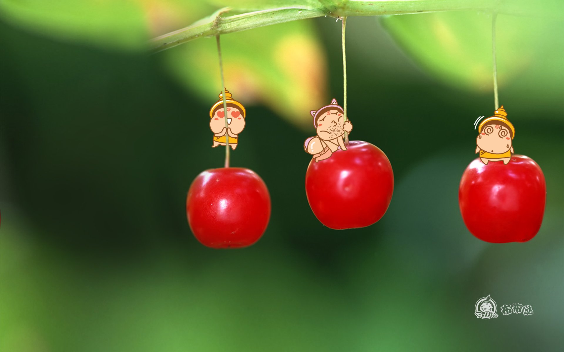 布布哒 搞笑 可爱