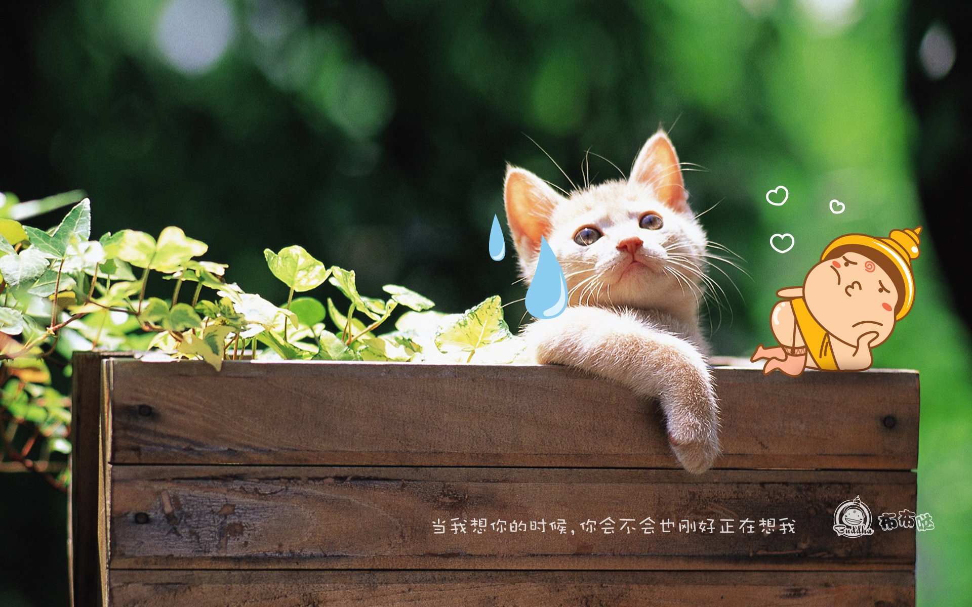 布布哒 搞笑 可爱