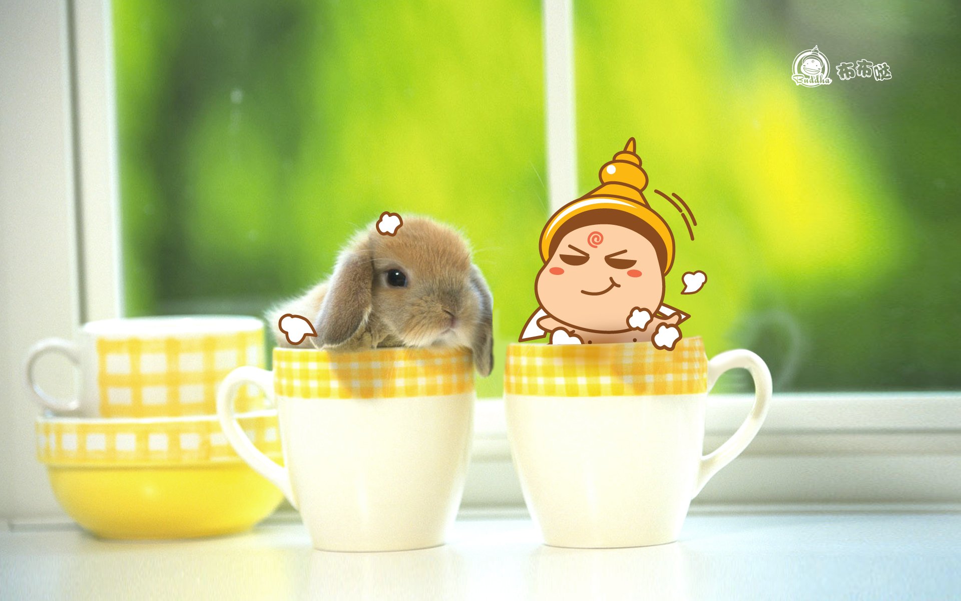 布布哒 搞笑 可爱