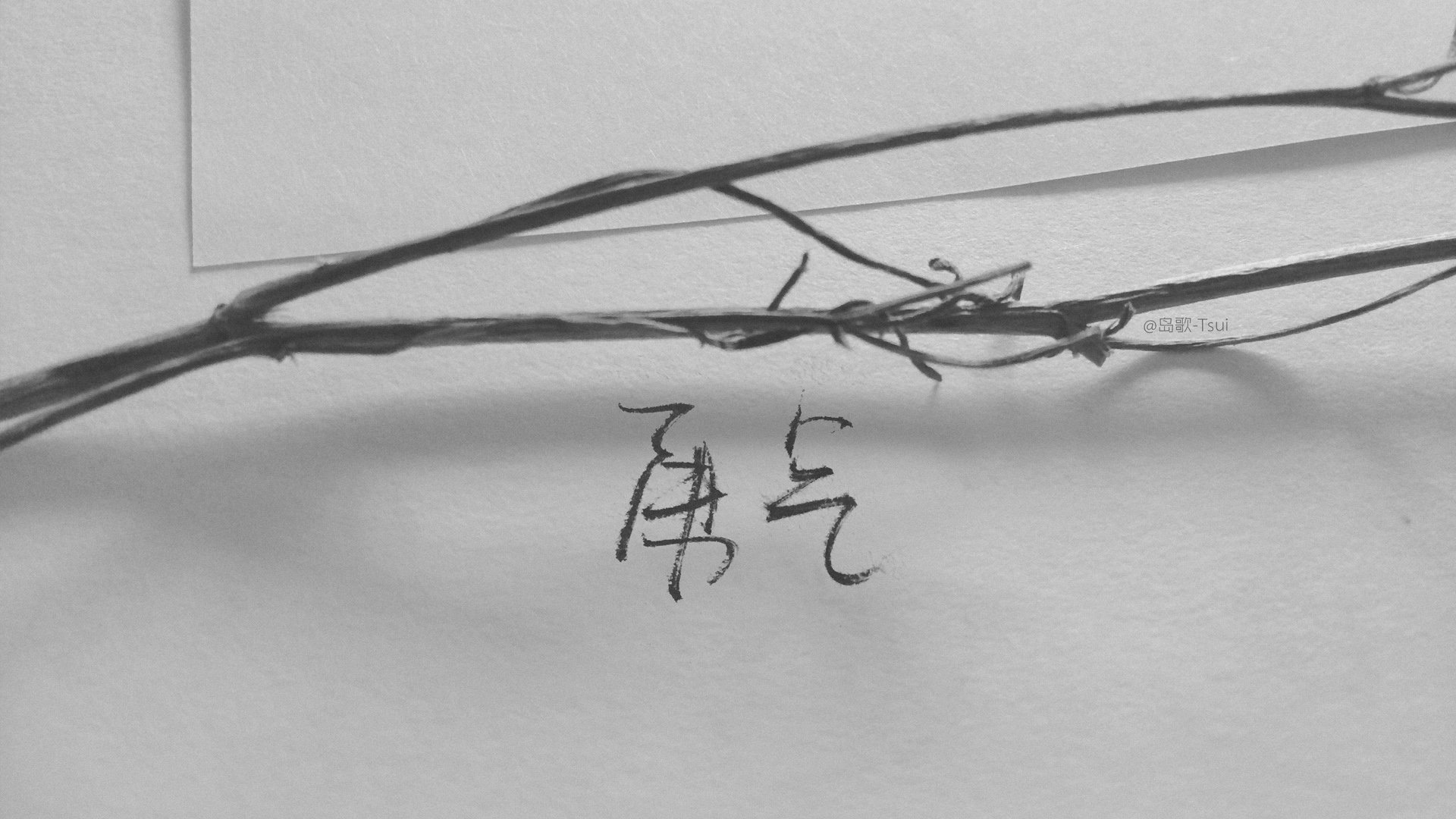 文字控 手写 岛歌 @岛歌-Tsui 文字