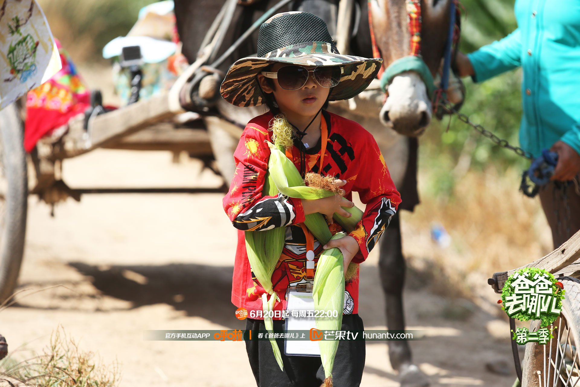 爸爸去哪儿2  湖南卫视 芒果TV
