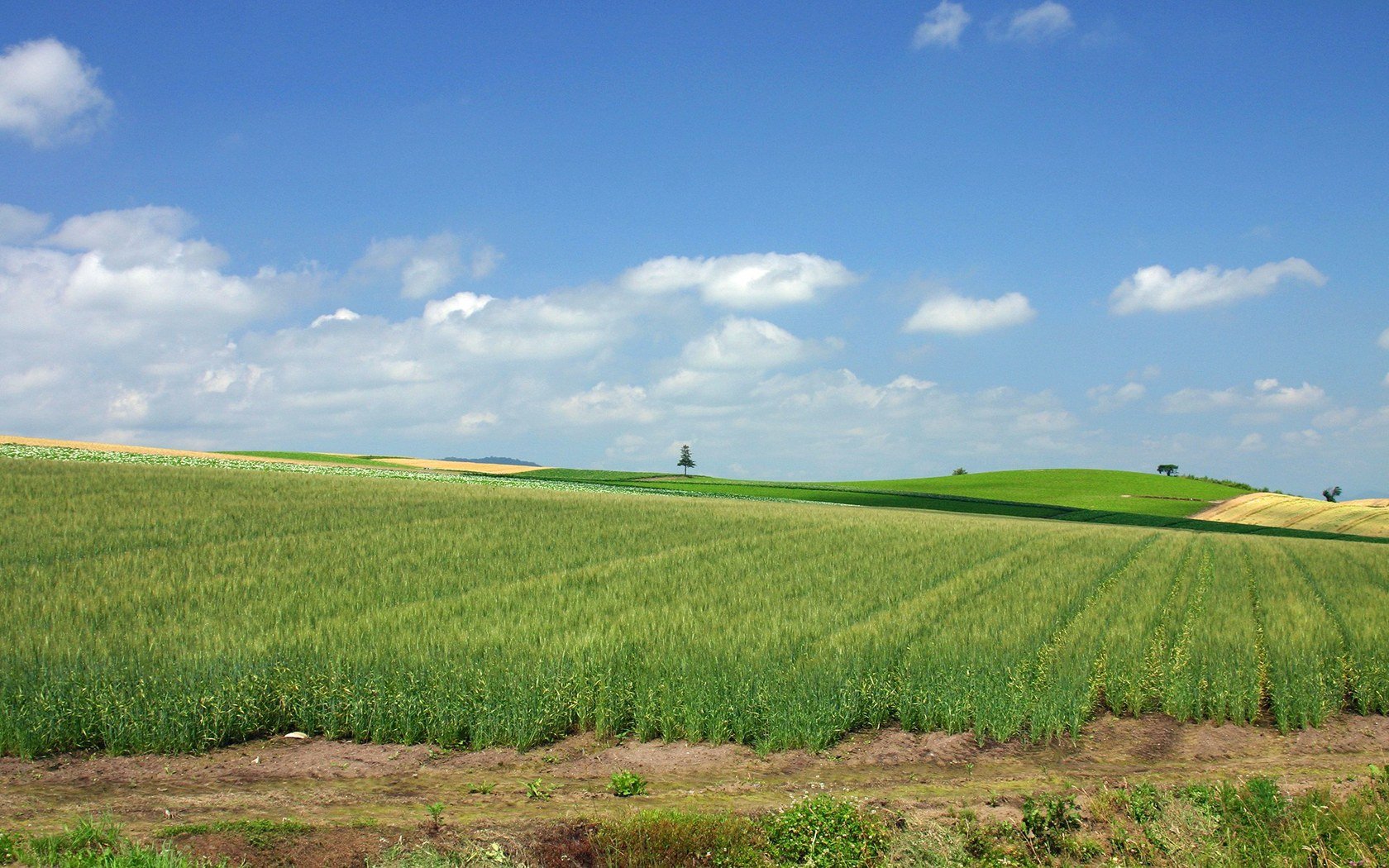 风景 自然风光 大自然 唯美 日本 北海道 日系 旅游胜地