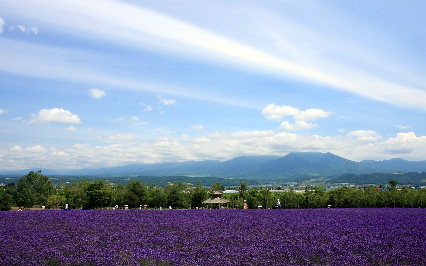 风景 自然风光 大自然 唯美 日本 北海道 日系 旅游胜地
