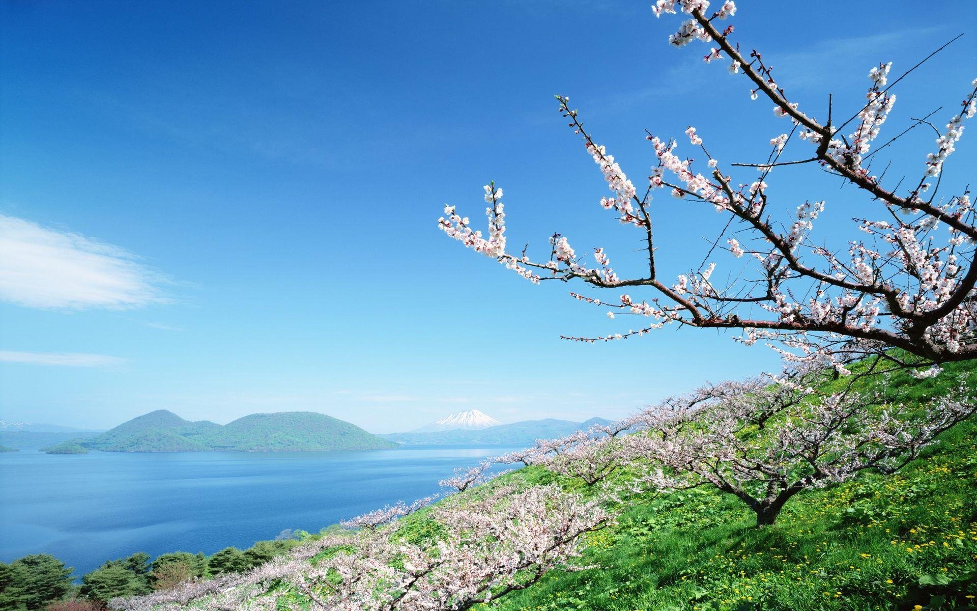 风景 自然风光 大自然 唯美 日本 北海道 日系 旅游胜地