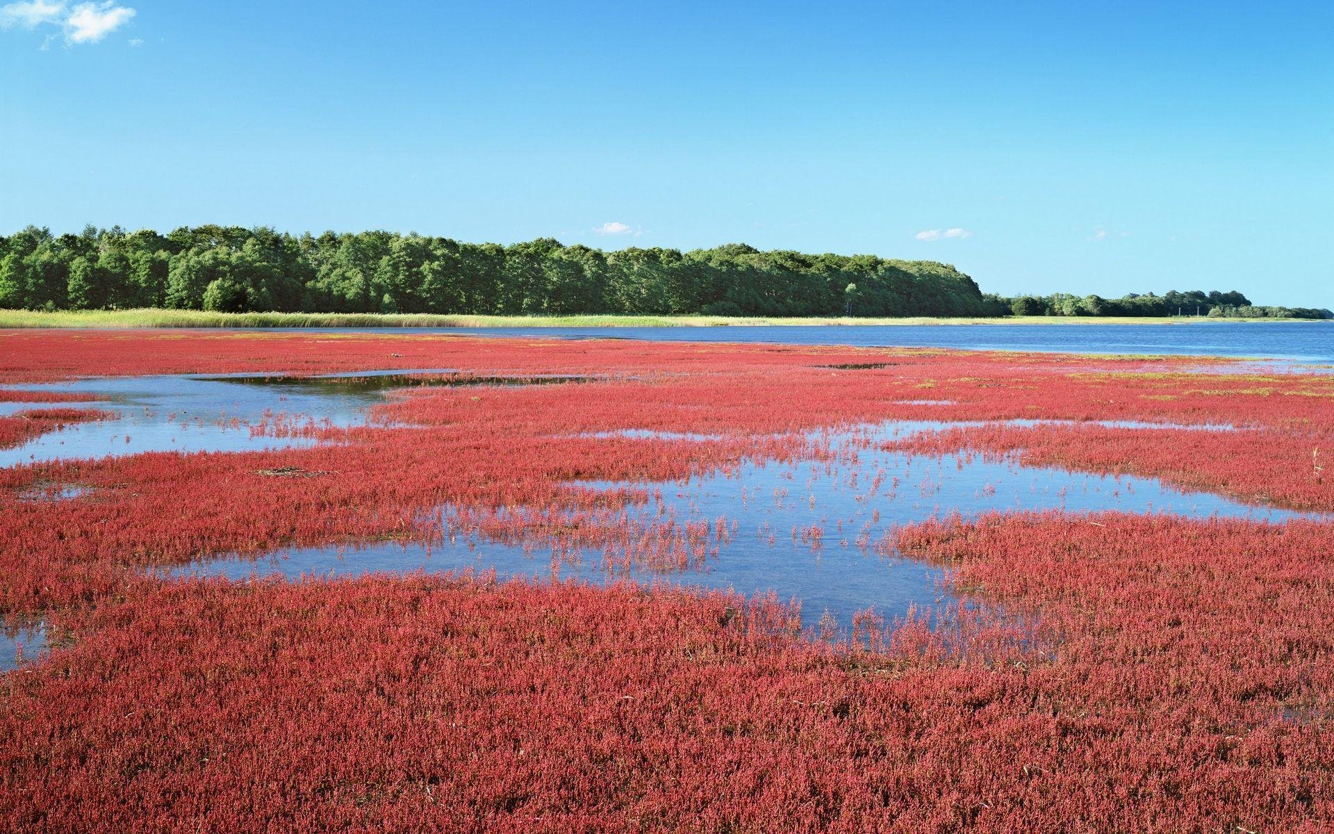 风景 自然风光 大自然 唯美 日本 北海道 日系 旅游胜地