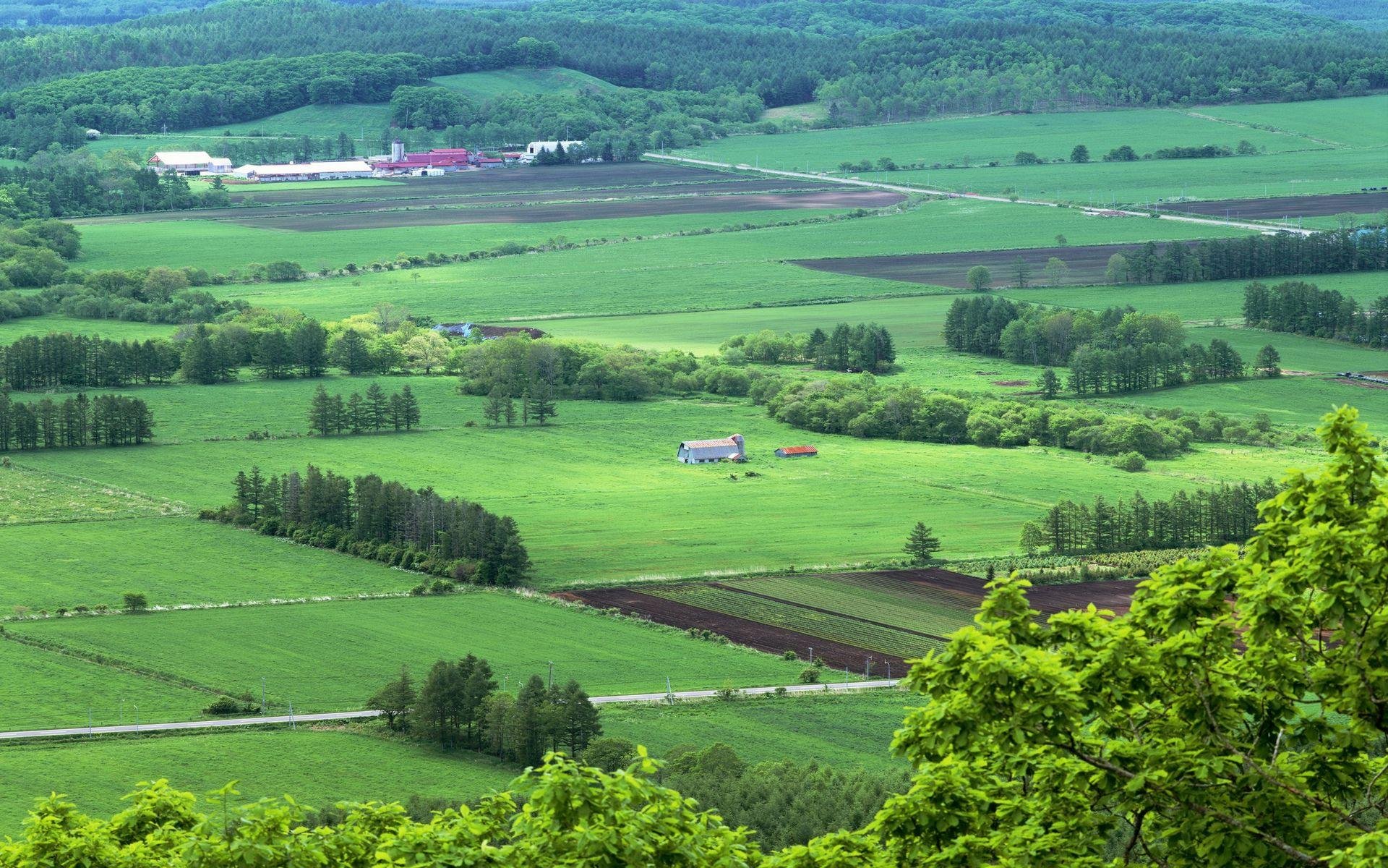 风景 自然风光 大自然 唯美 日本 北海道 日系 旅游胜地