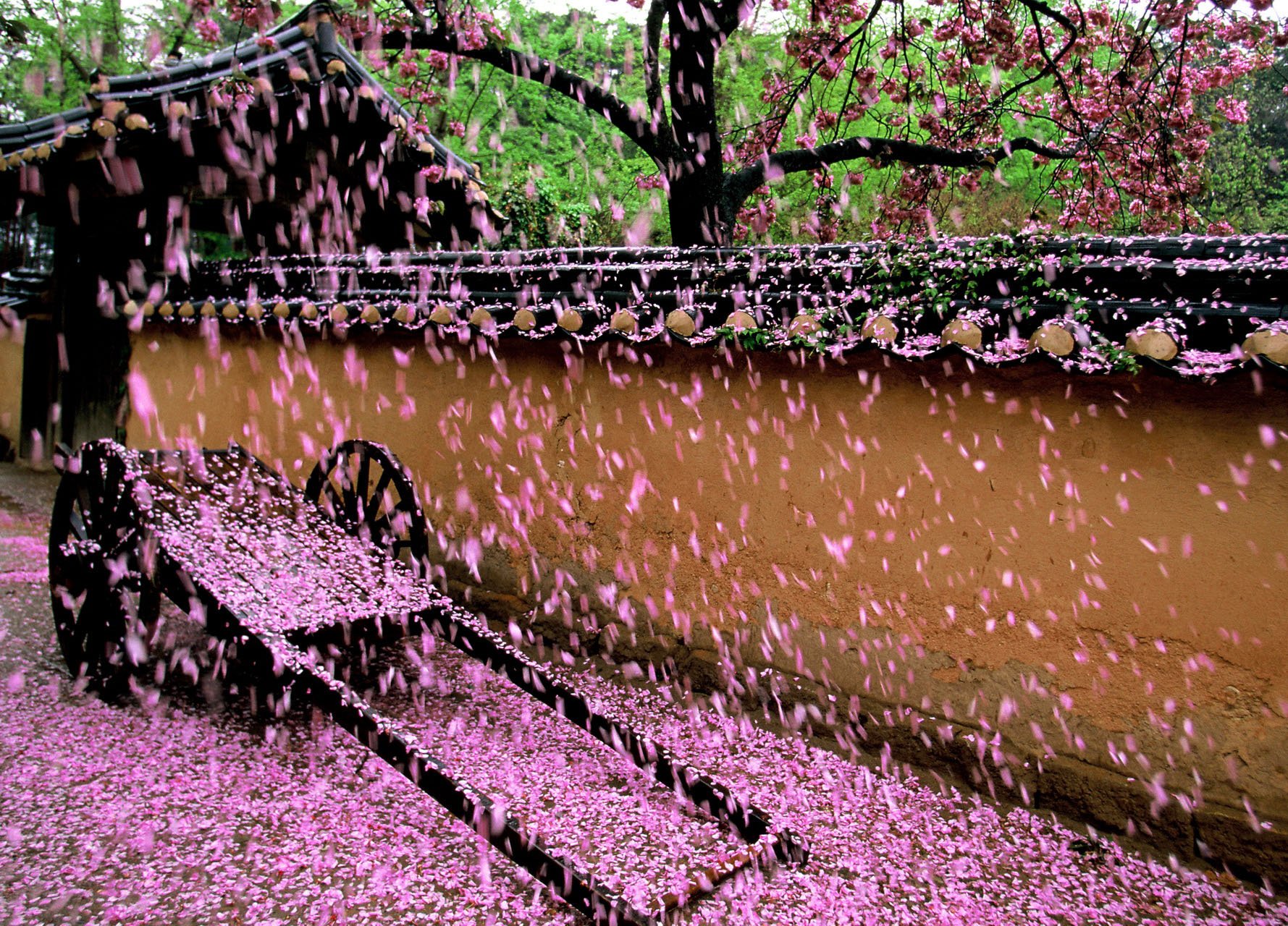 风景 自然风光 大自然 清新 旅行 时光 唯美