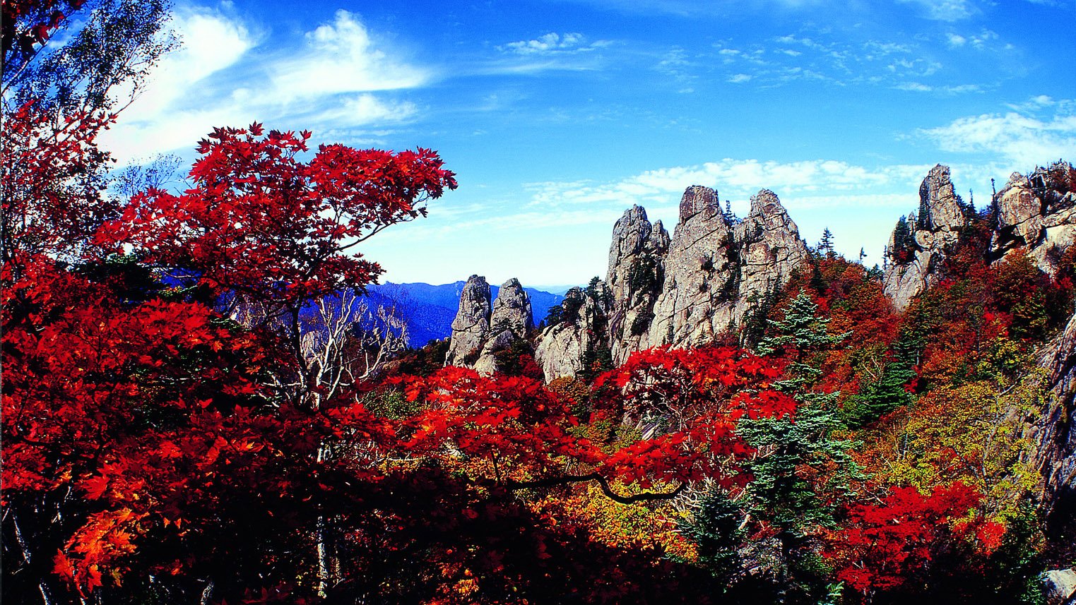 风景 自然风光 大自然