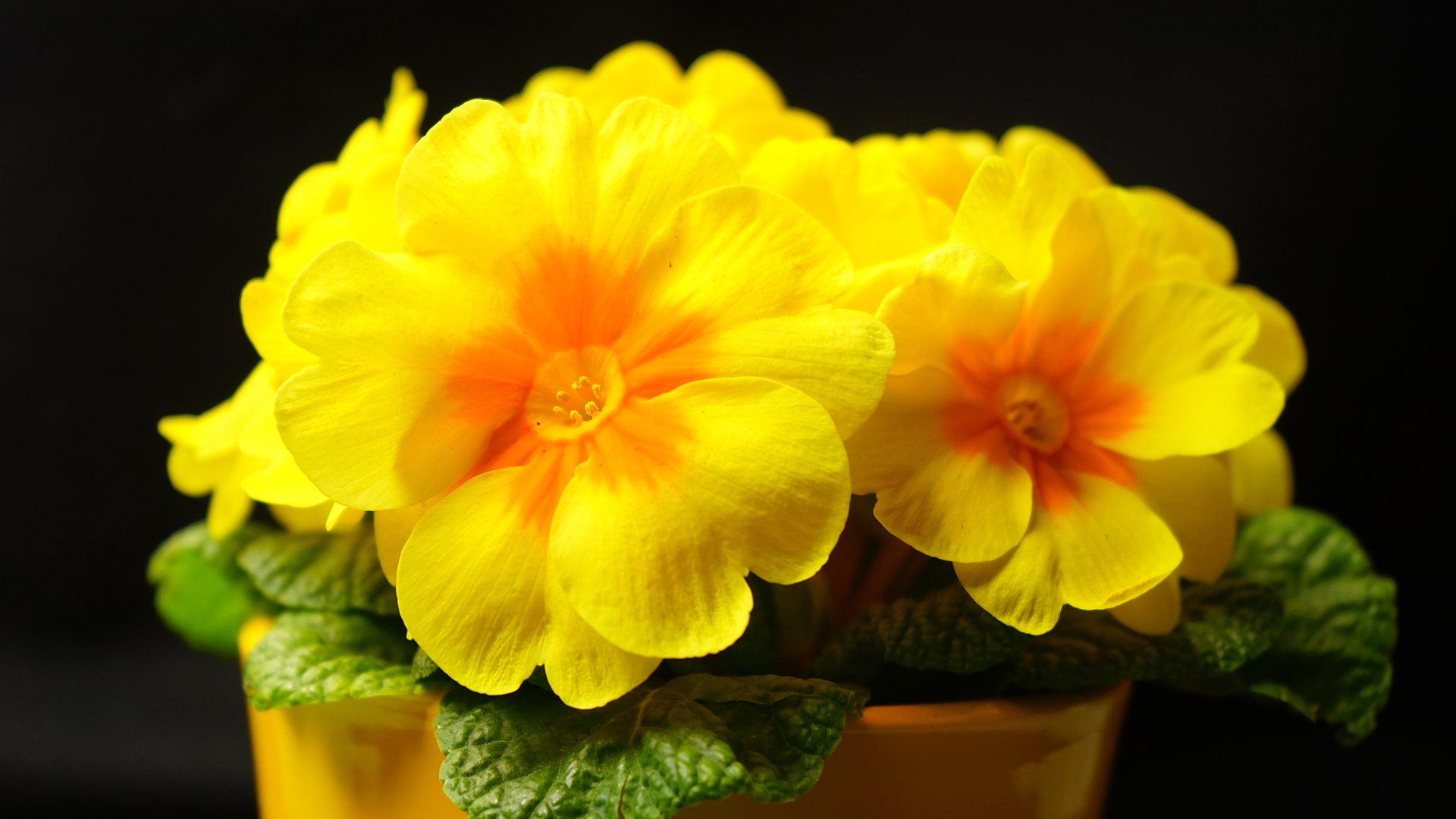 小清新 温暖 干净 安静 唯美 静物 物语 时光