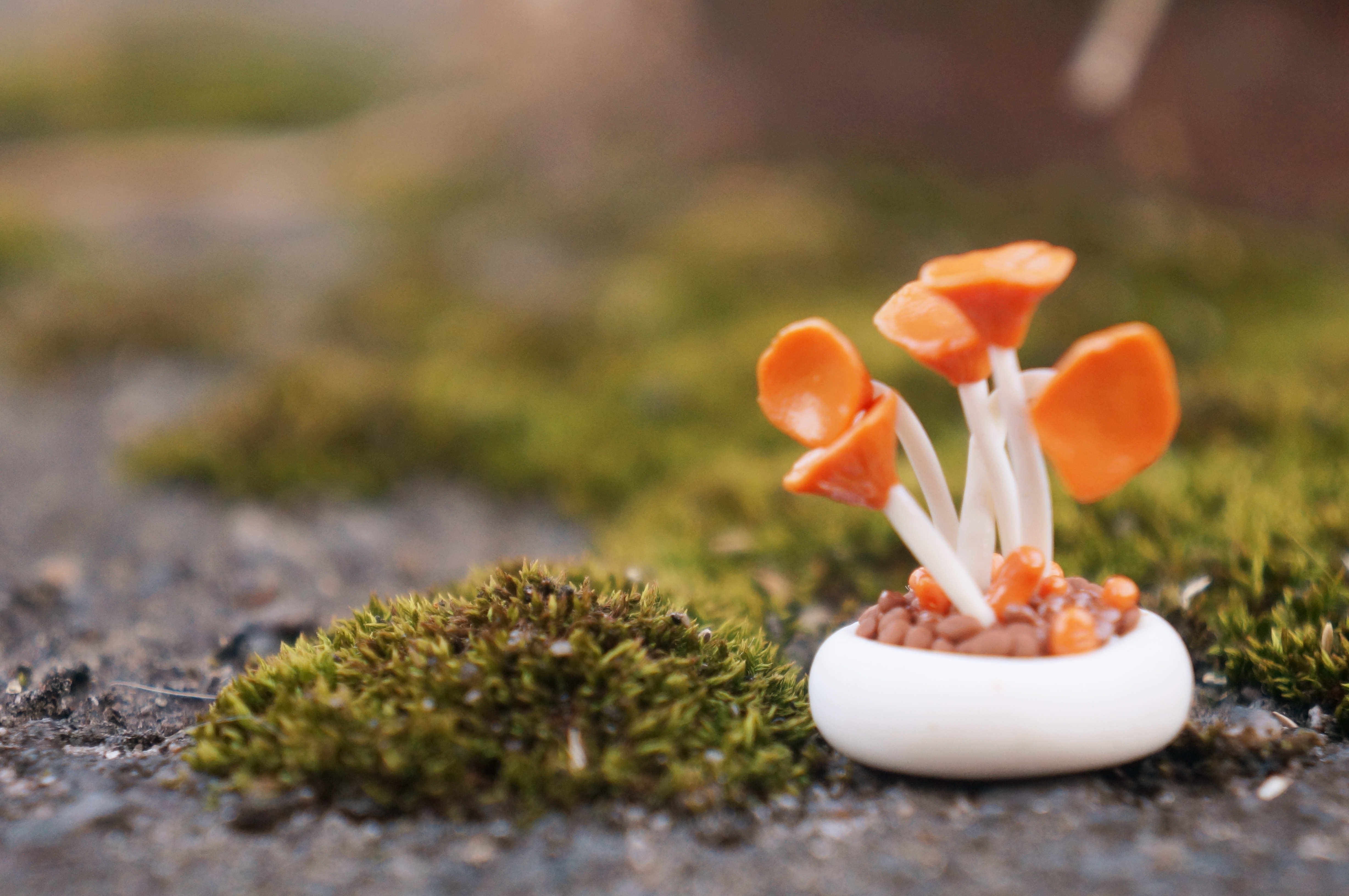 小清新 温暖 干净 安静 唯美 静物 物语 时光