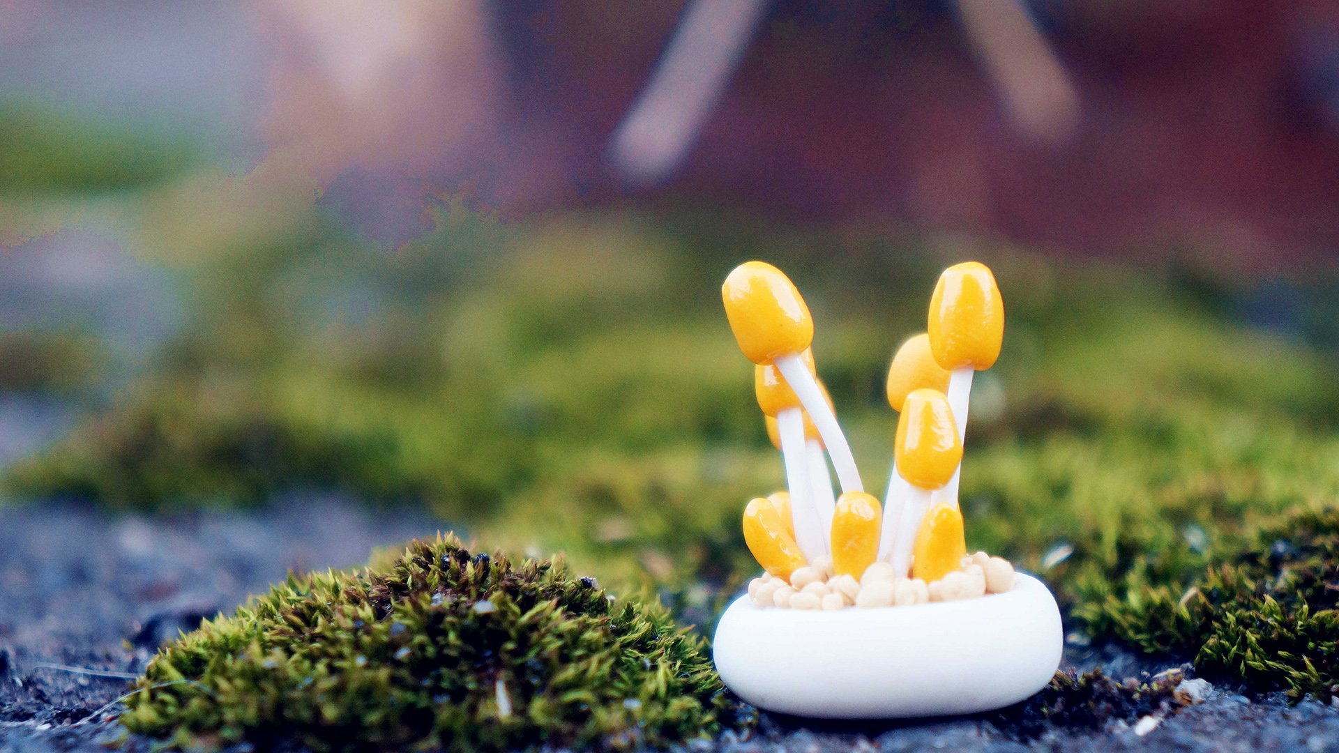 小清新 温暖 干净 安静 唯美 静物 物语 时光