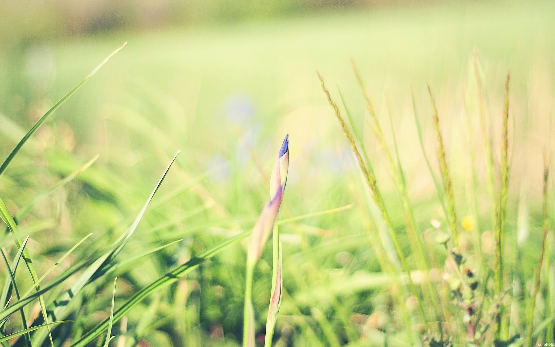 小清新 温暖 干净 安静 唯美 静物 物语 时光