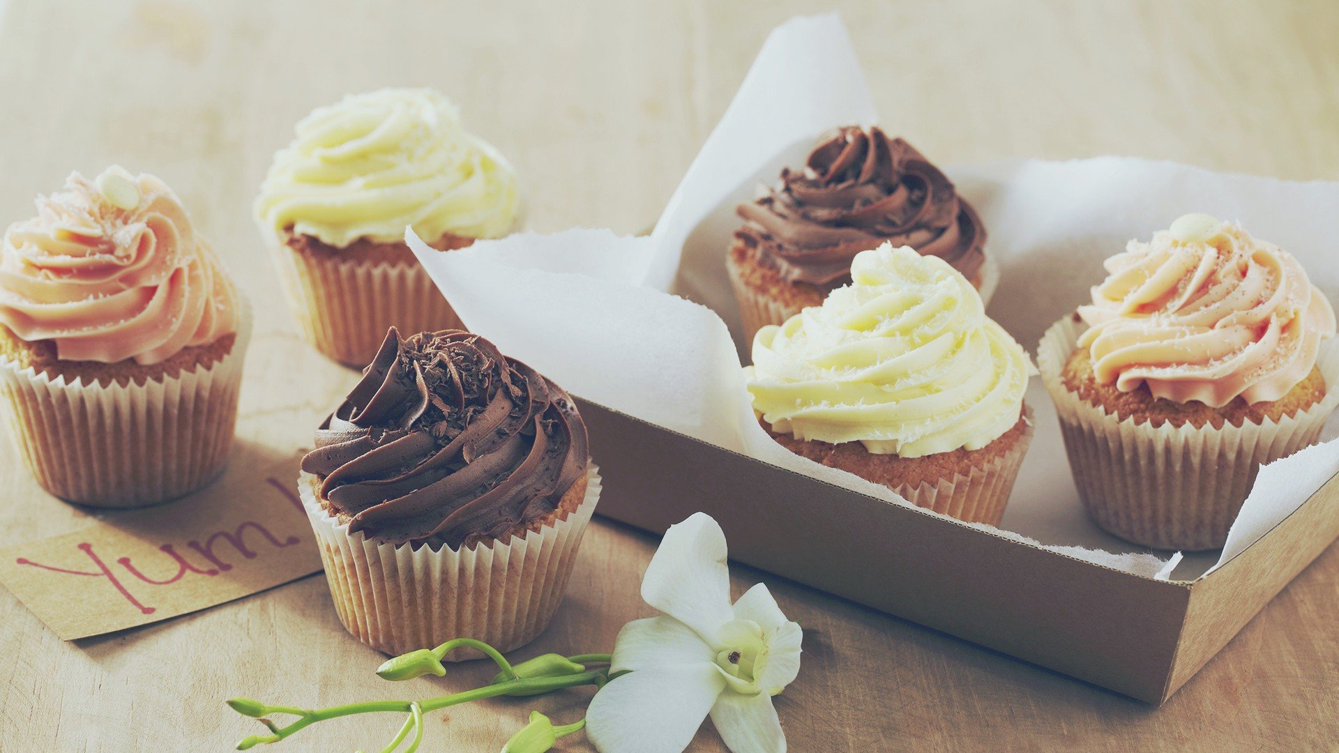 小清新 温暖 干净 安静 唯美 静物 物语 时光