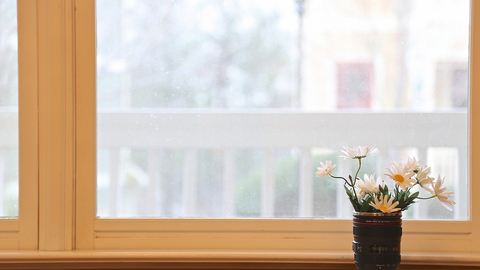 小清新 温暖 干净 安静 唯美 静物 物语 时光