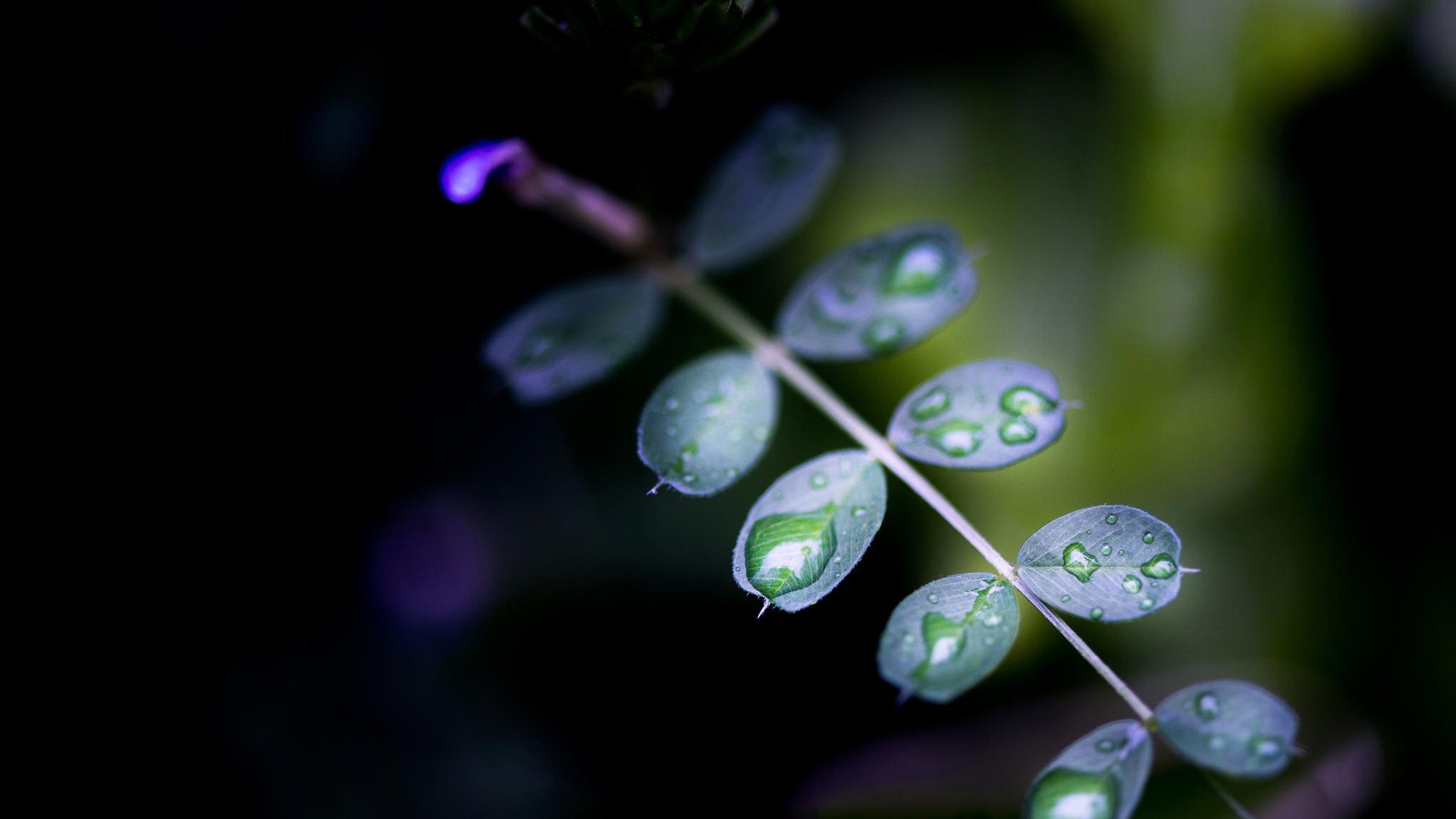 小清新 温暖 干净 安静 唯美 静物 物语 时光