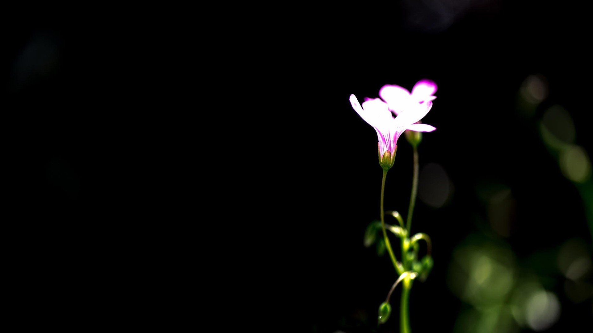 小清新 温暖 干净 安静 唯美 静物 物语 时光