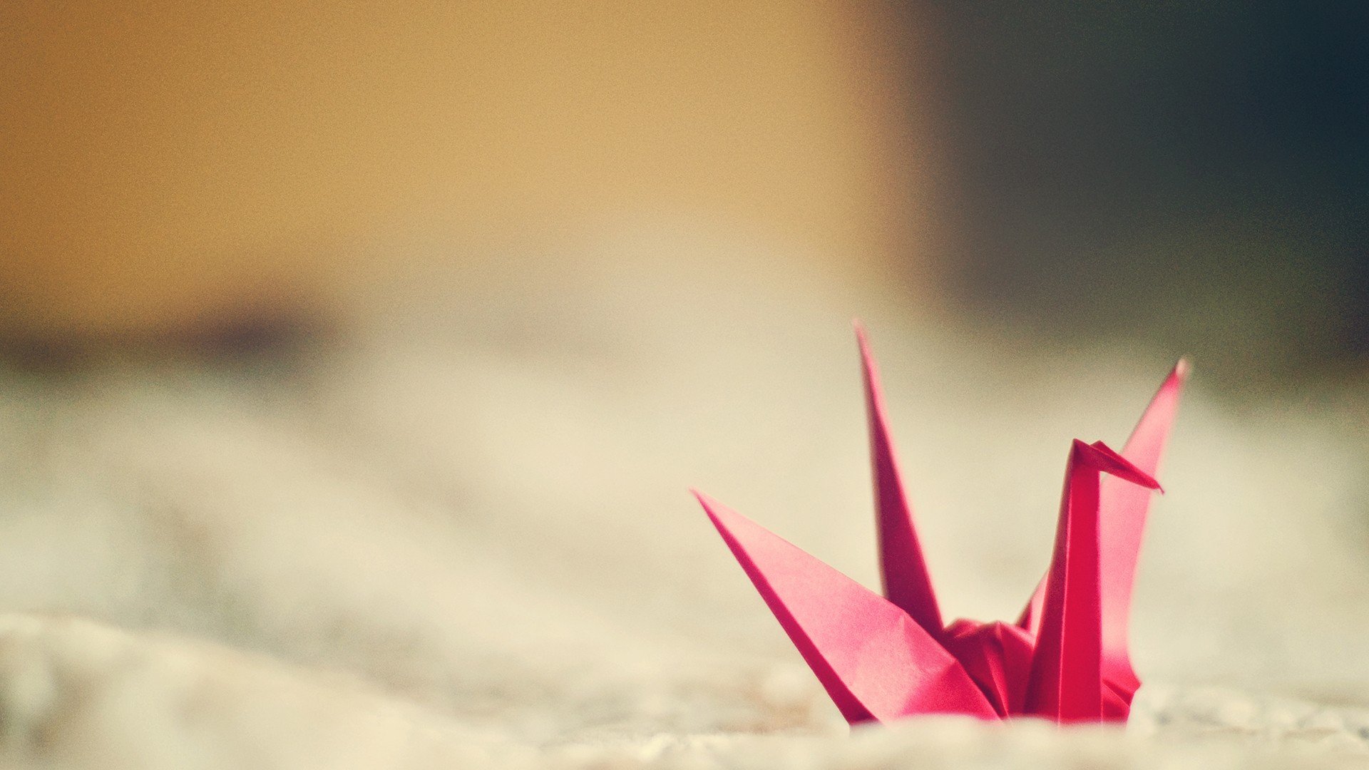 小清新 温暖 干净 安静 唯美 静物 物语 时光