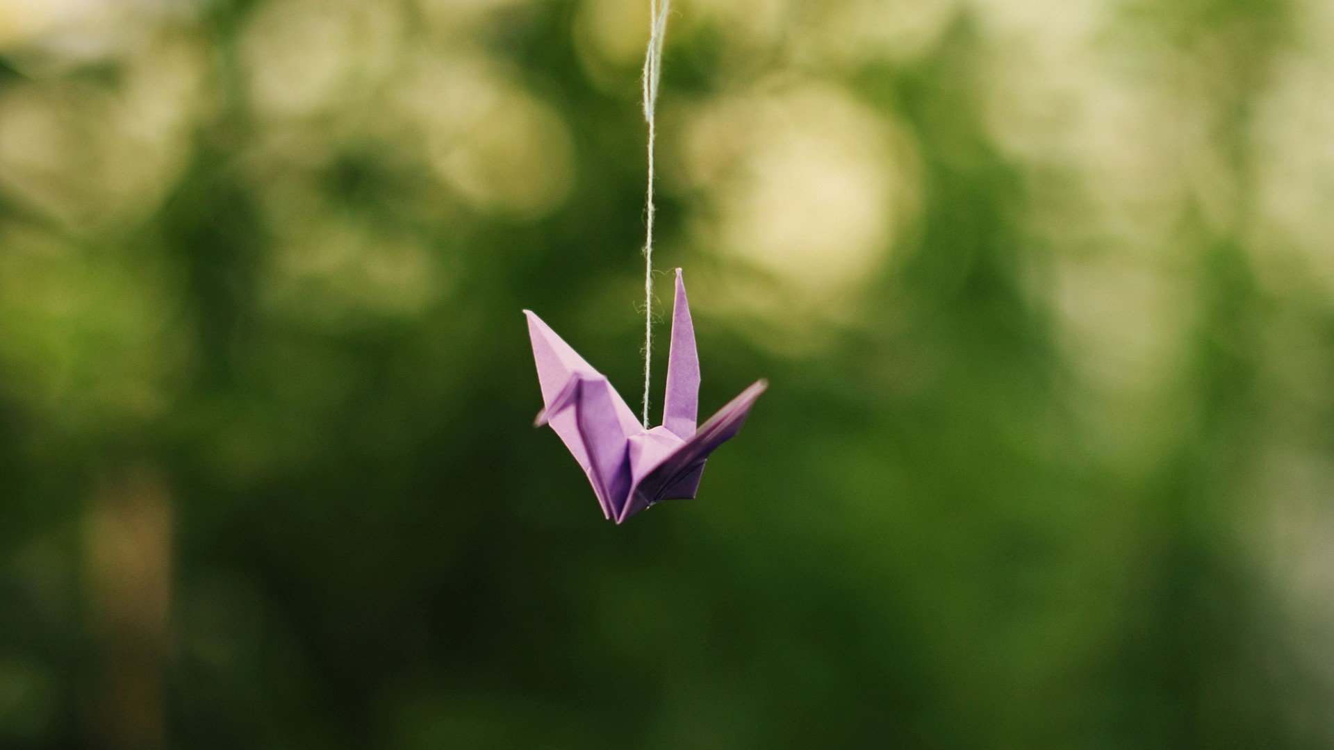 小清新 温暖 干净 安静 唯美 静物 物语 时光