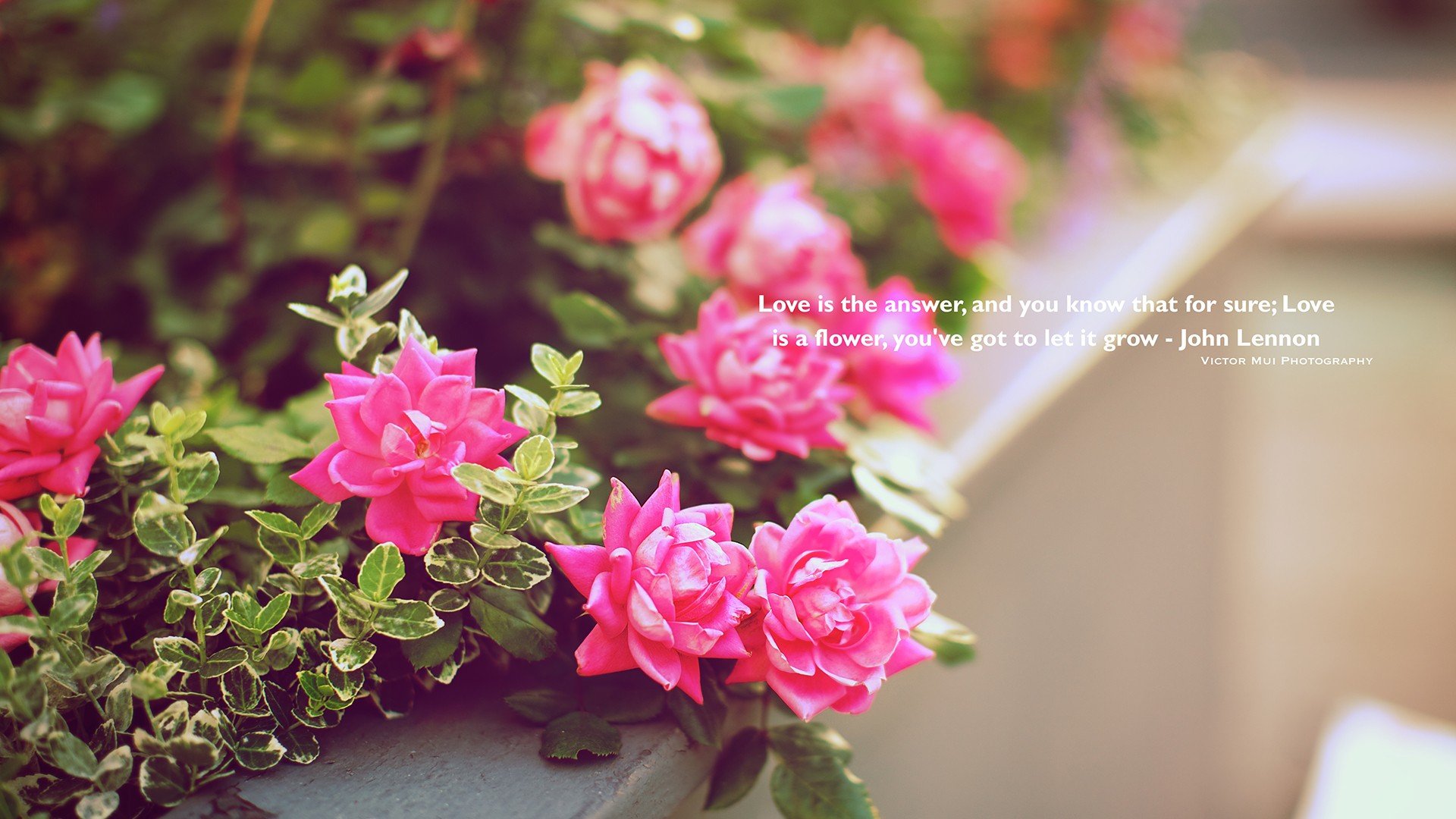 小清新 温暖 干净 安静 唯美 静物 物语 时光