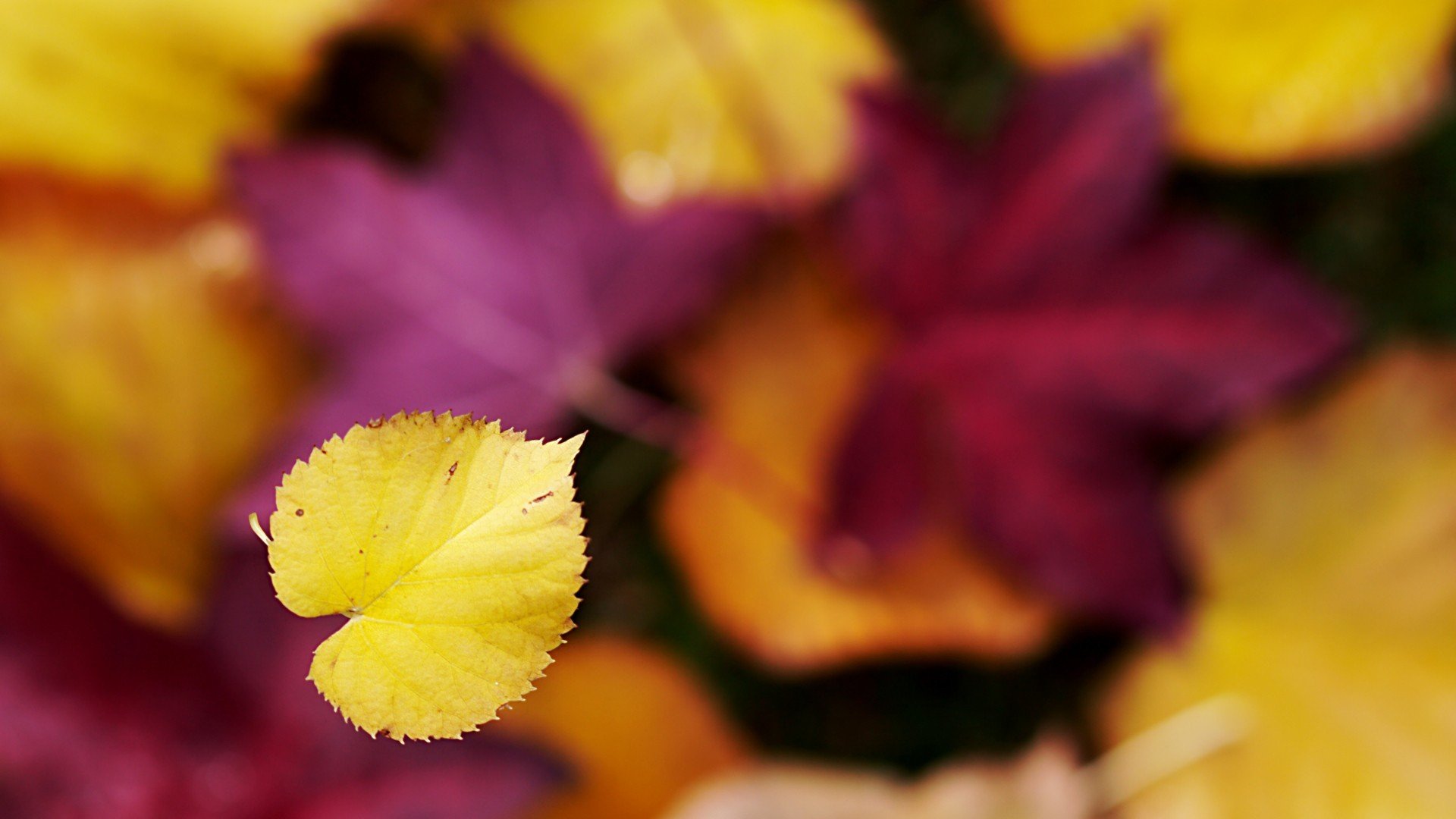 小清新 温暖 干净 安静 唯美 静物 物语 时光 清新淡雅 宁静安详