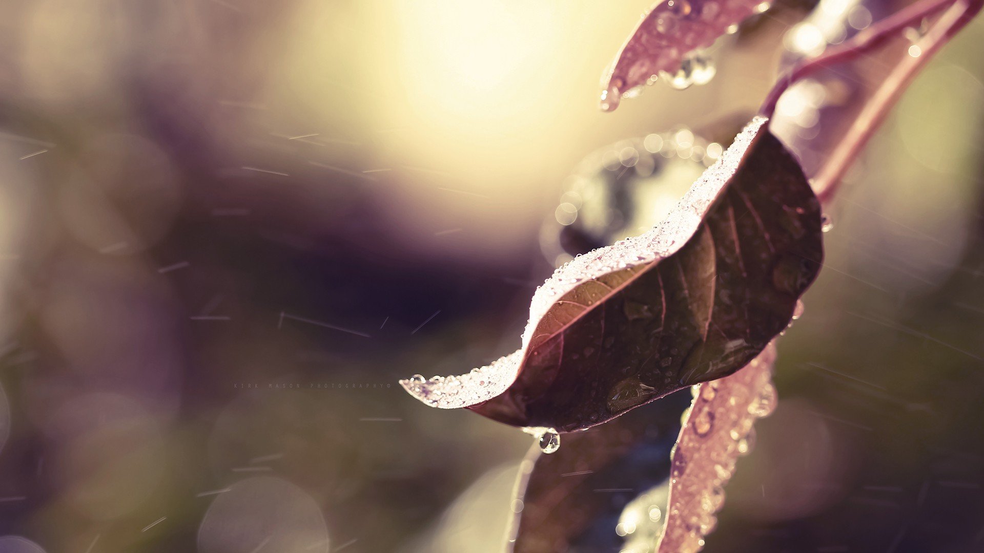 小清新 温暖 干净 安静 唯美 静物 物语 时光 清新淡雅 宁静安详