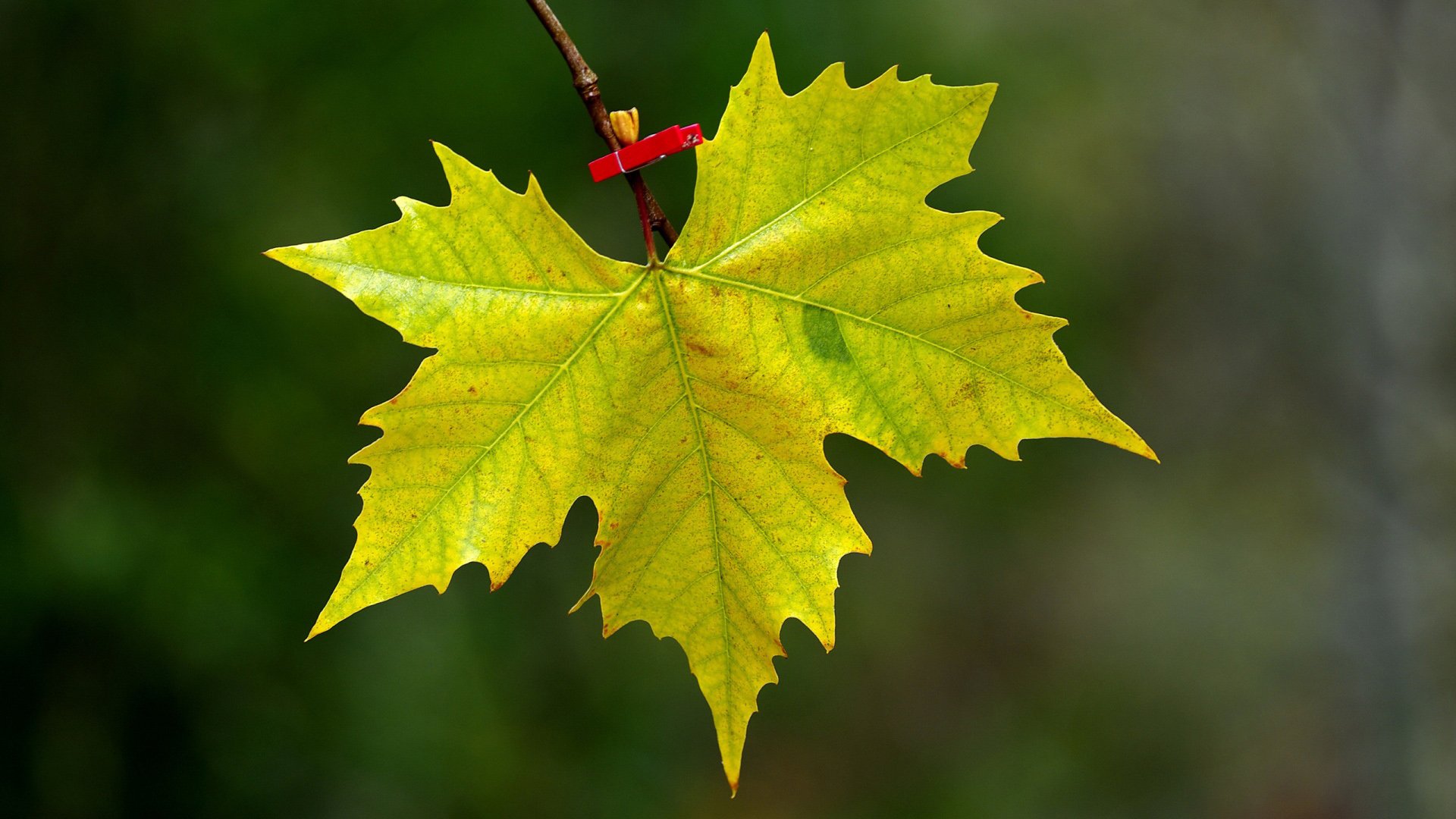 小清新 温暖 干净 安静 唯美 静物 物语 时光 清新淡雅 宁静安详