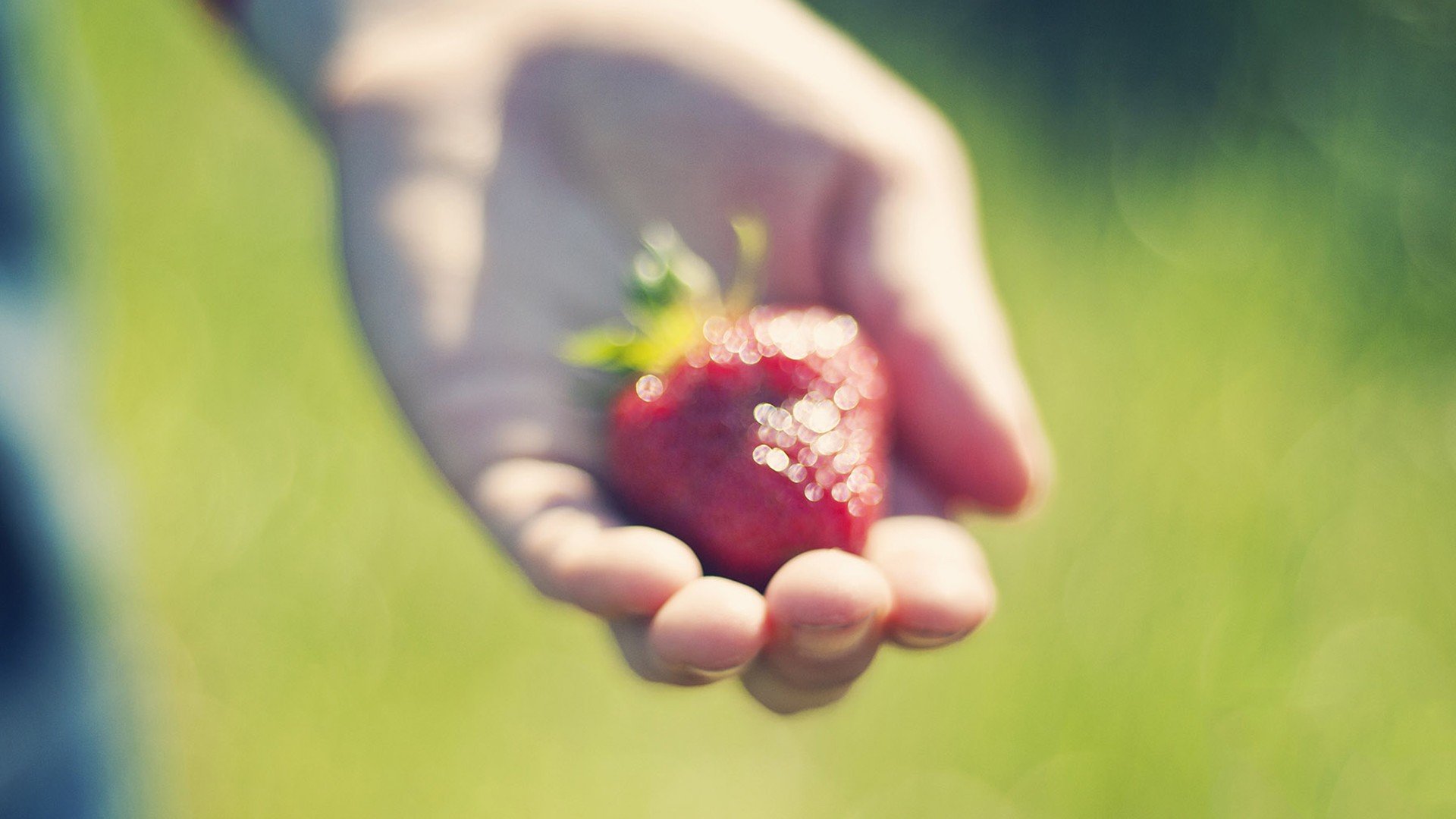 小清新 温暖 干净 安静 唯美 静物 物语 时光