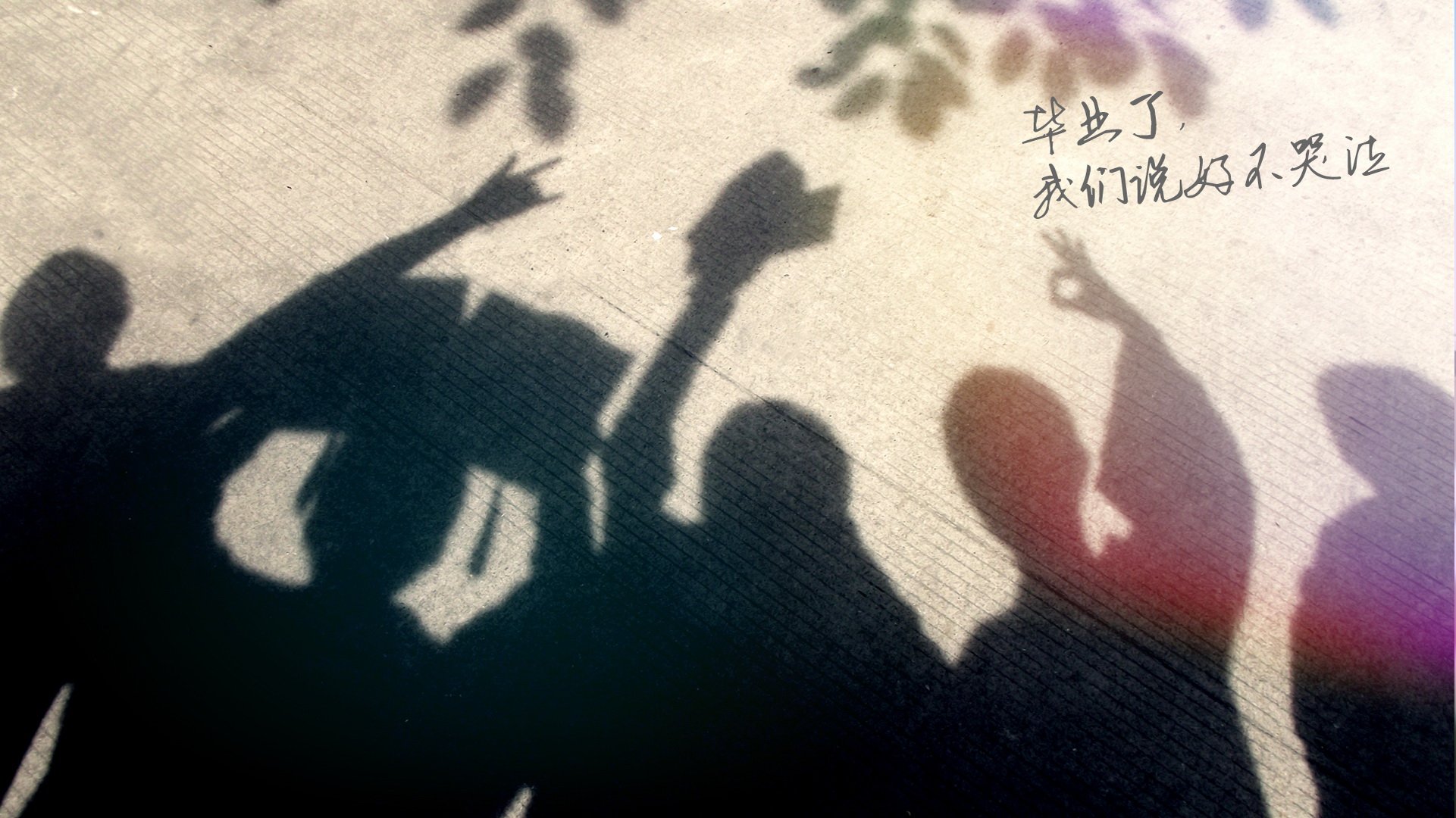 小清新 温暖 干净 安静 唯美 静物 物语 时光 毕业季 文字 分别 离开 伤感  @酷音铃声