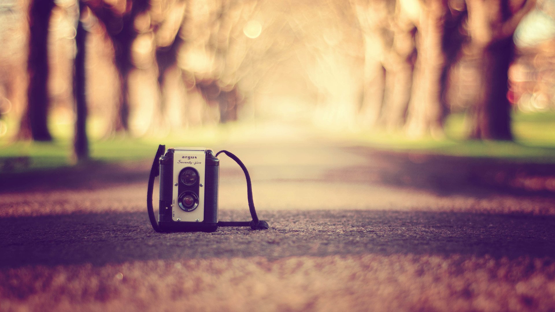 小清新 温暖 干净 安静 唯美 静物 物语 时光 复古 怀旧