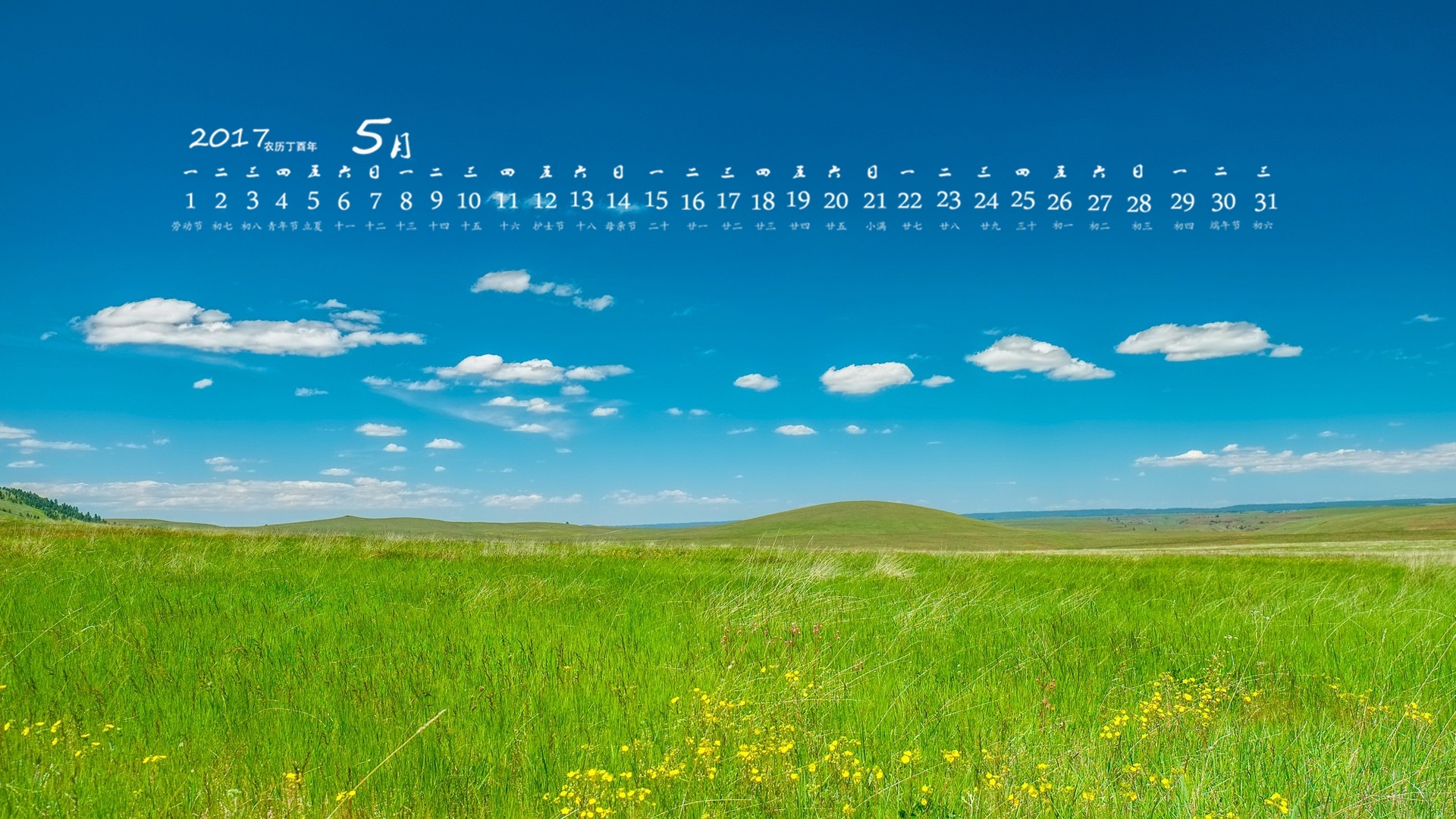 2017年5月 草地 蓝天白云