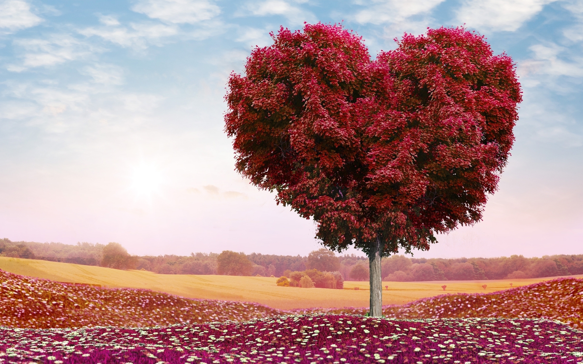 爱情 爱情树 火红爱情 宽屏