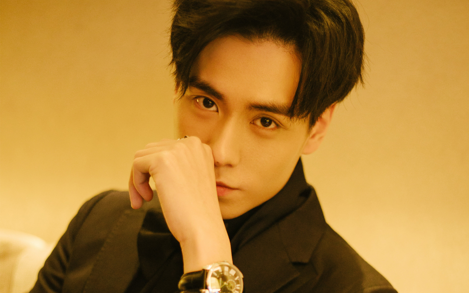 内地明星 胡一天